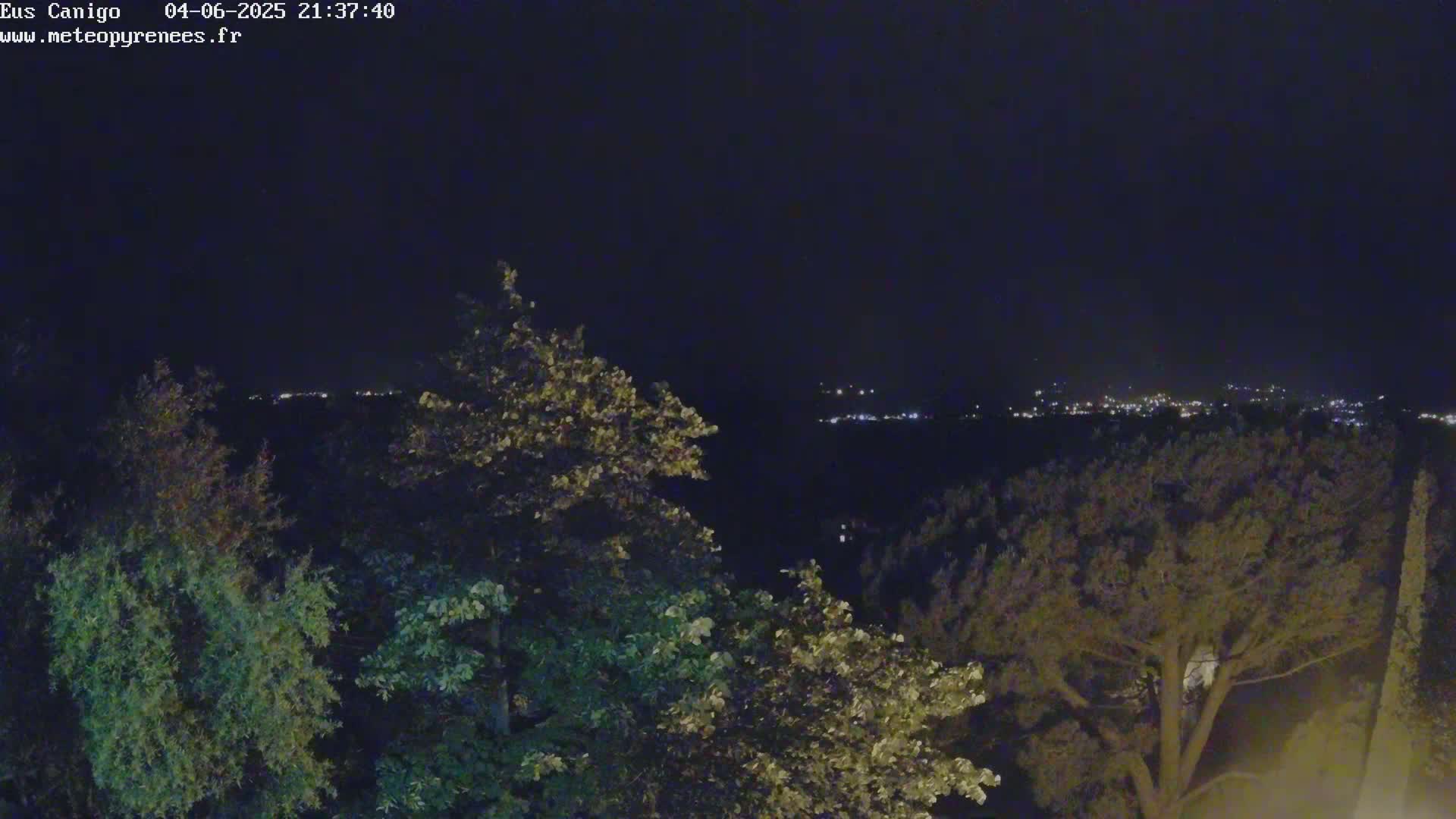 A nighttime view from an elevated position shows a distant town illuminated with lights beyond a foreground of dark green trees.
