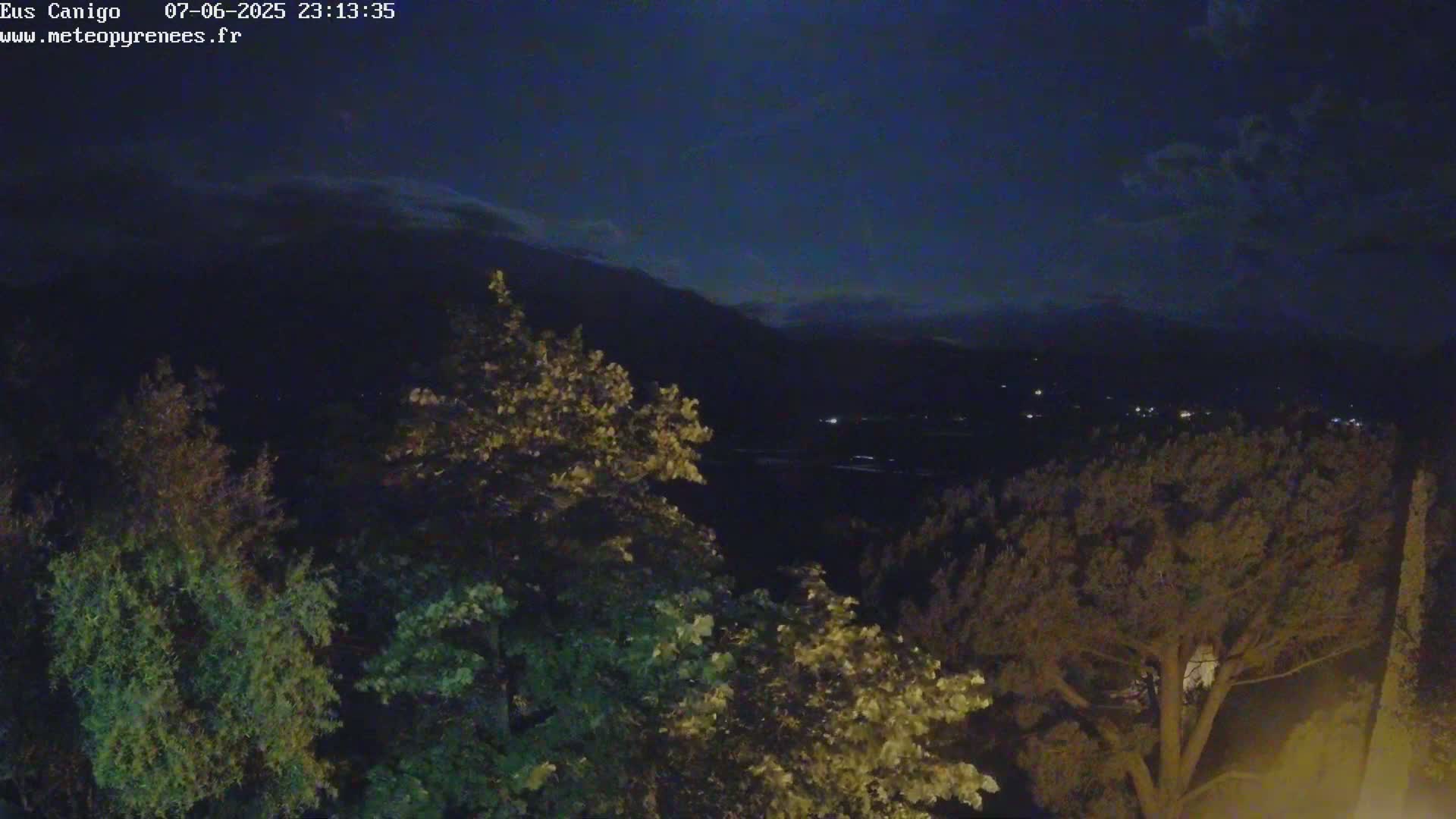 A nighttime view of dark green trees silhouetted against a dark blue sky with a few clouds and distant lights in a valley.