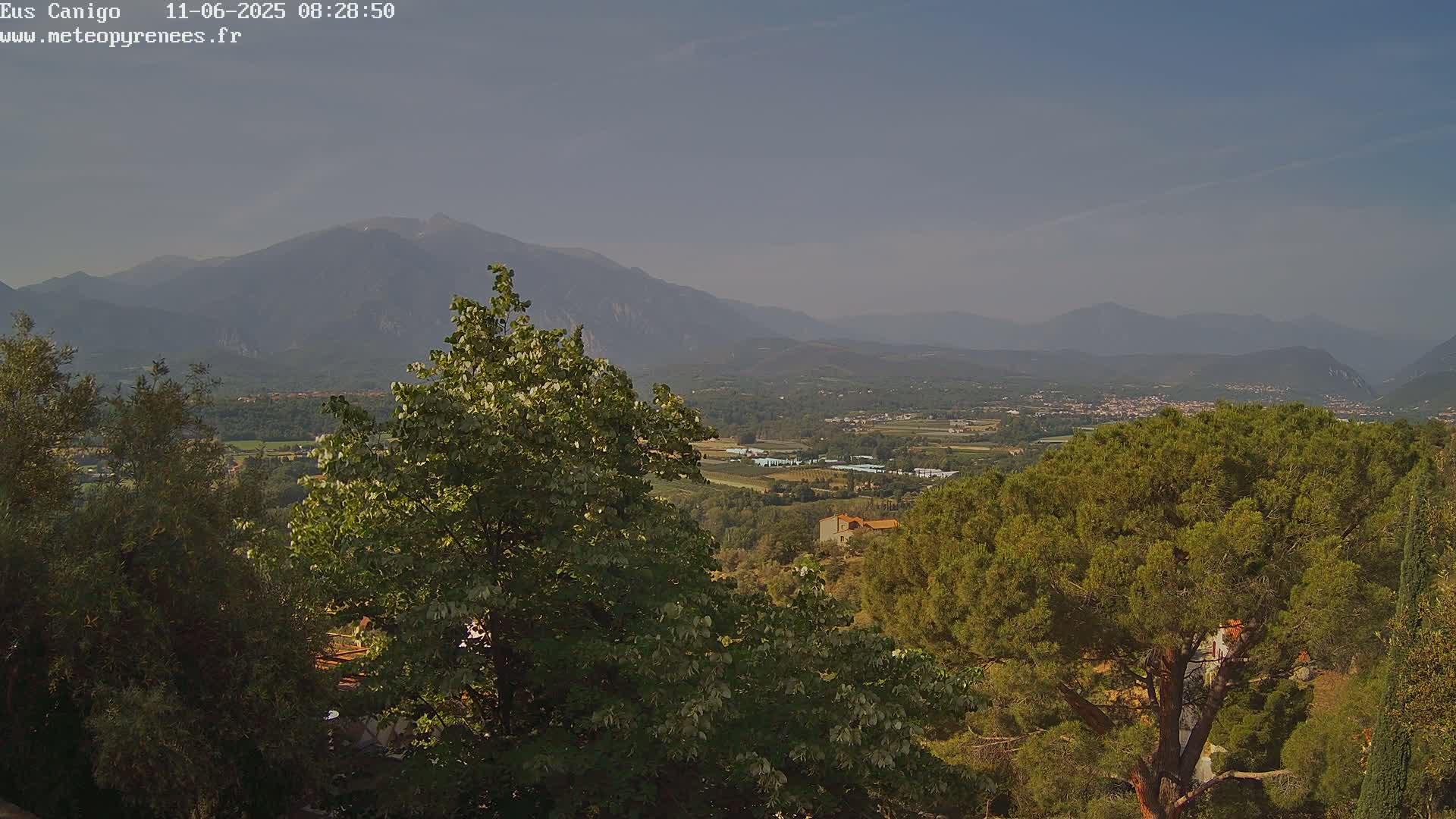 A hazy, sunny view from a hillside shows lush green trees and distant mountains, with a valley and small town in between.