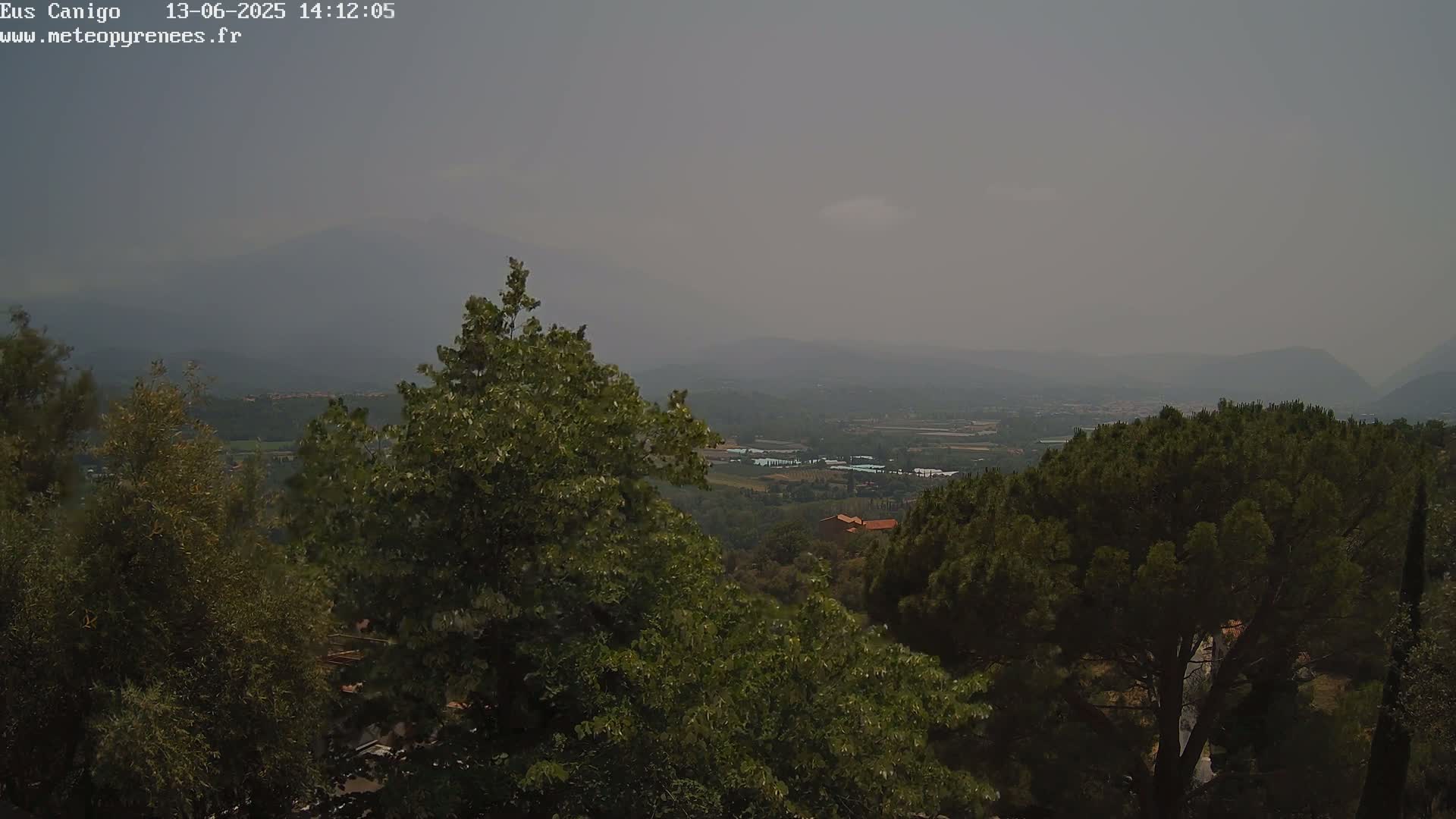 A hazy, distant view of a valley and mountains stretches out behind a lush hillside of green trees.