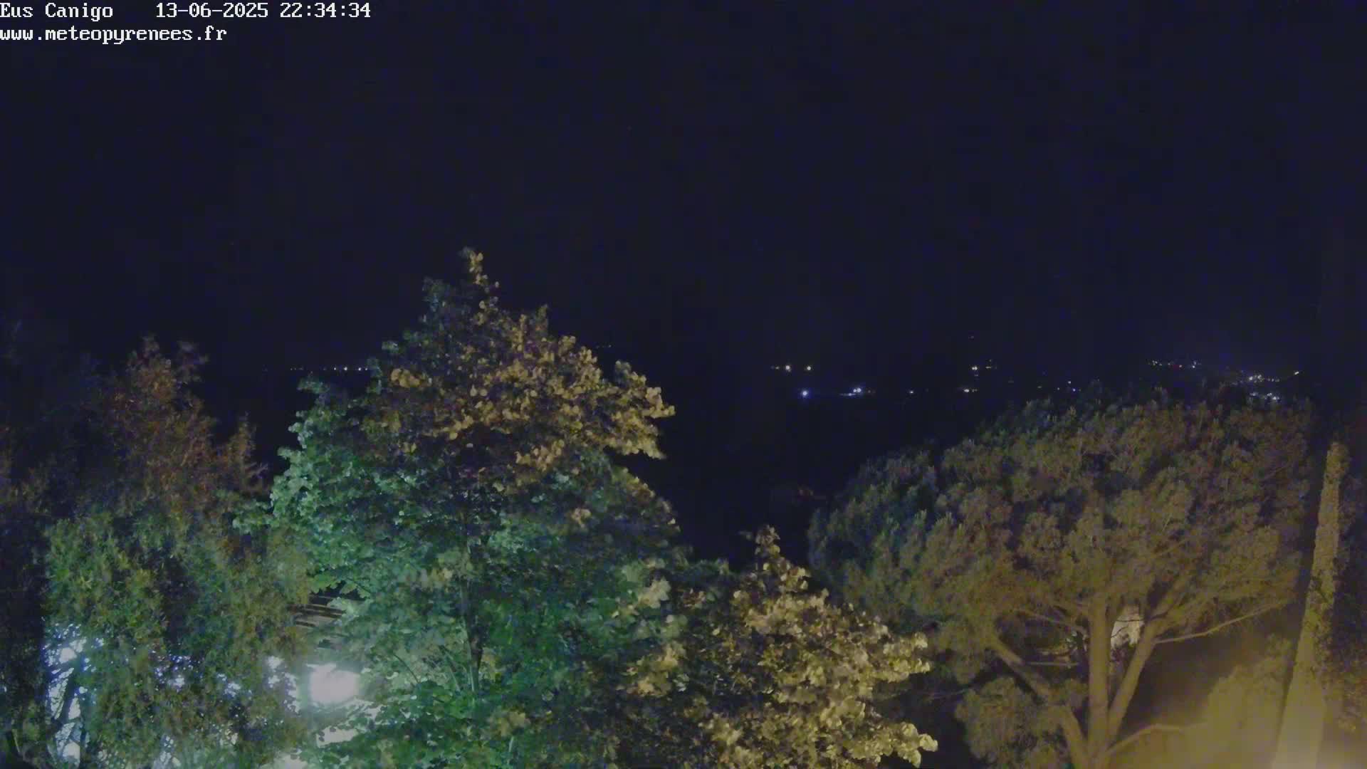 A nighttime view of treetops illuminated by artificial light, overlooking a distant, dimly lit valley under a clear, dark sky.