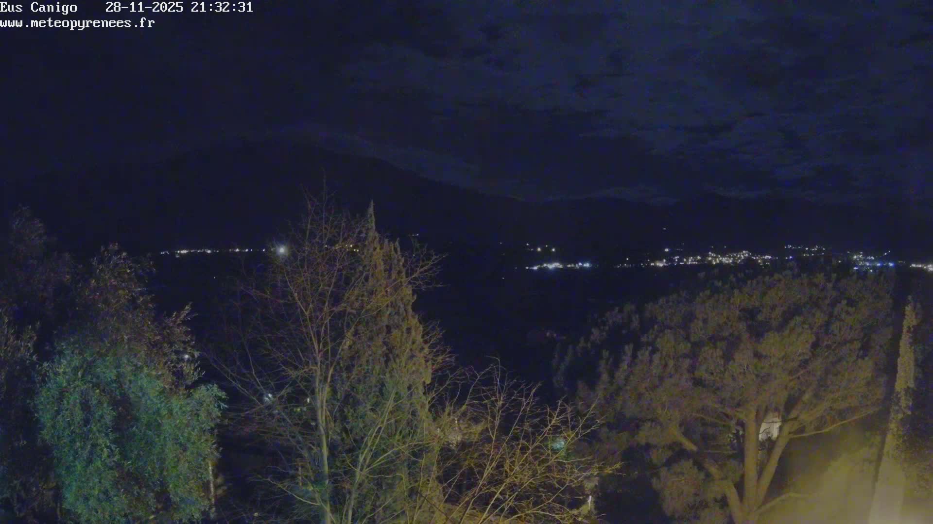 A nighttime outdoor scene features various trees, some green and some bare, in the foreground and midground, overlooking a valley dotted with distant city lights and dark mountains beneath a partly cloudy night sky.