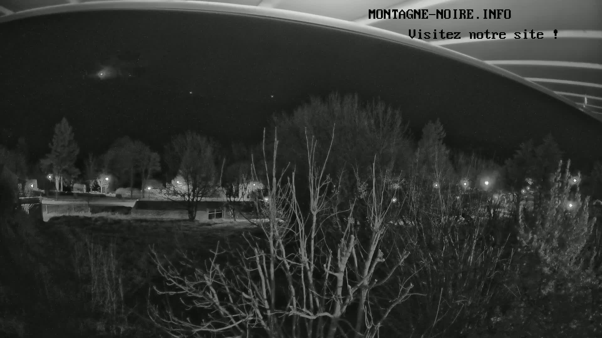 A nighttime view of leafless trees and a distant, dimly lit area under a dark, starry sky.