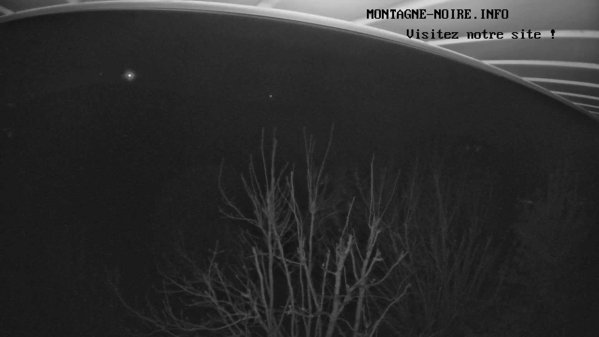 A nighttime view shows bare branches of trees against a dark sky with a few visible stars.