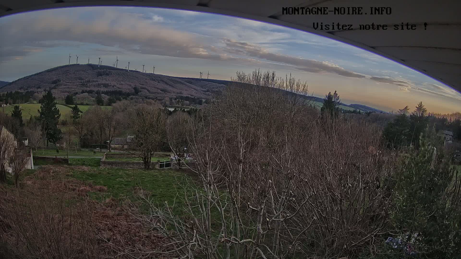 A panoramic view of a rural landscape at dusk, featuring a hilltop wind farm and leafless trees in the foreground under a partly cloudy sky.