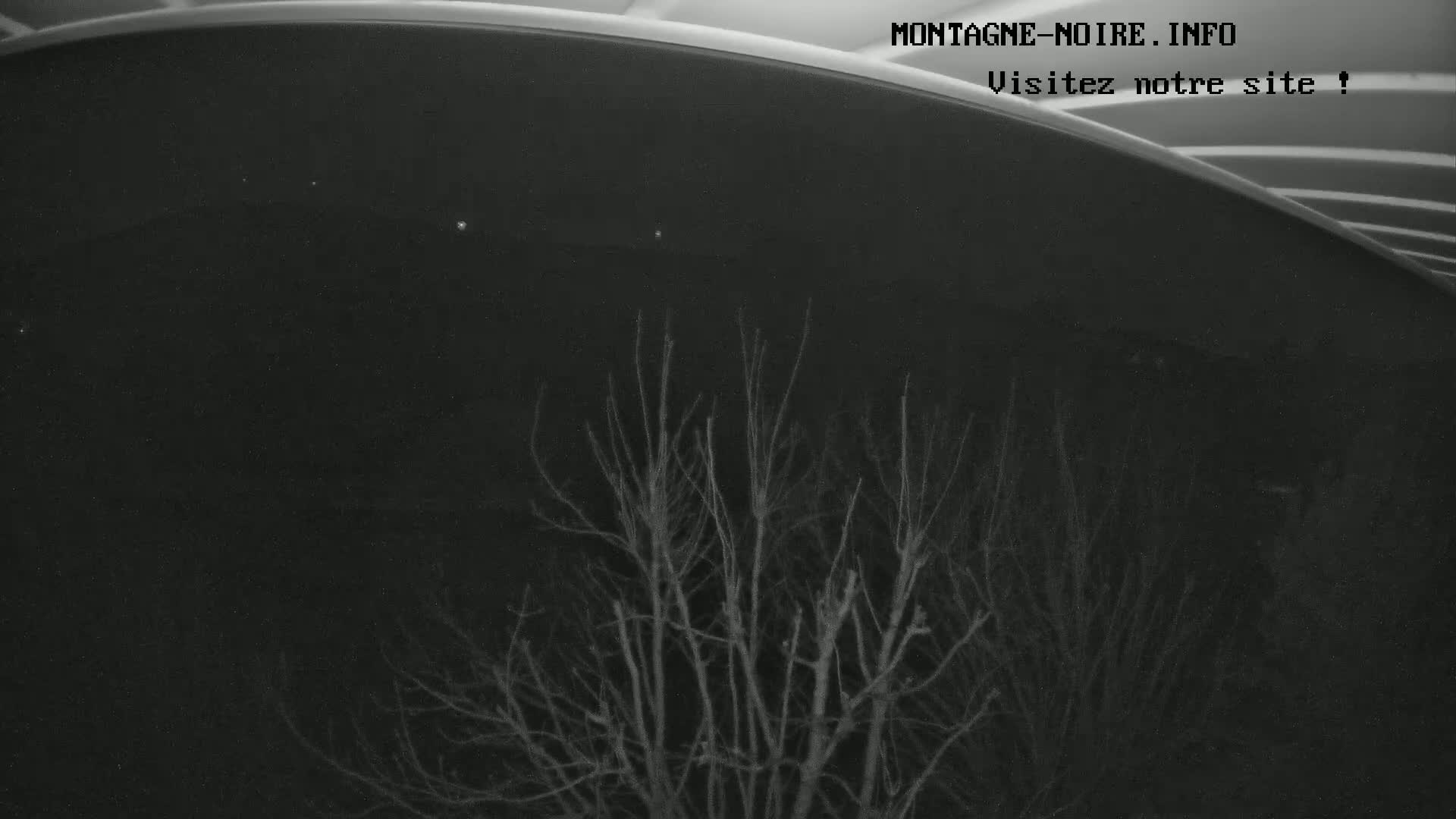 A nighttime view shows bare, leafless trees silhouetted against a dark sky.