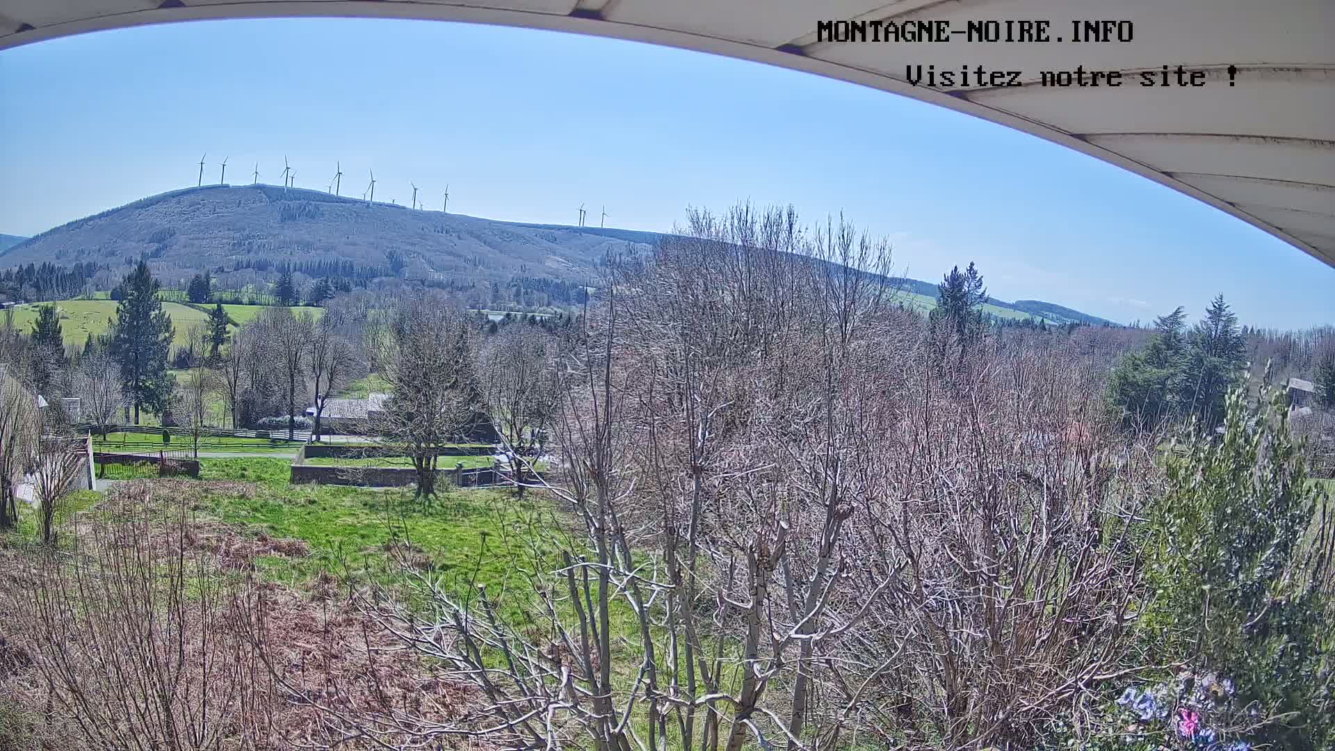 A sunny view of a hilltop dotted with wind turbines, overlooking a verdant valley with leafless trees and patches of green grass.