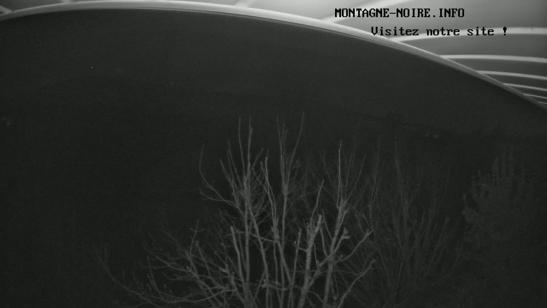 A low-light image shows bare, leafless trees silhouetted against a dark night sky under a curved, dark surface.
