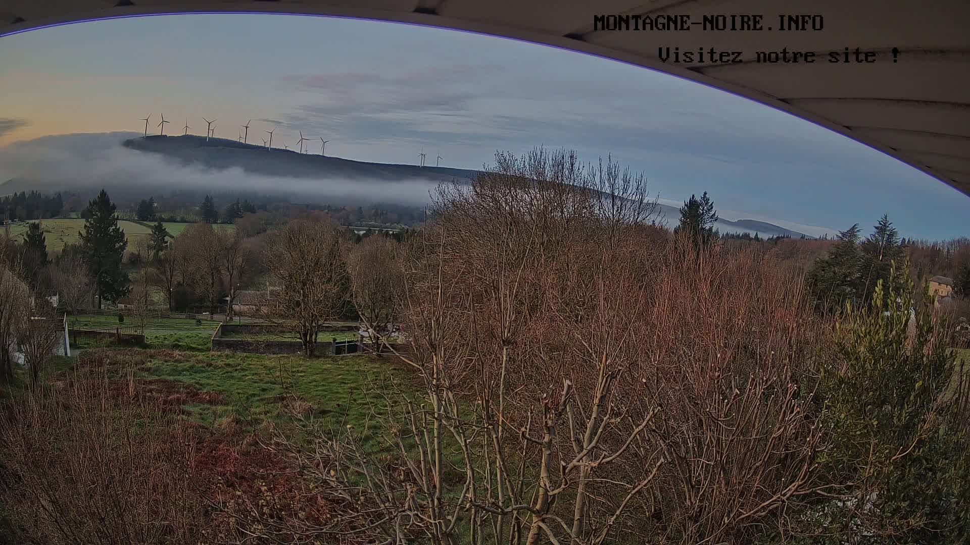 A foggy mountain range with wind turbines is visible in the distance, behind a field of leafless trees and grass under a partly cloudy sky.