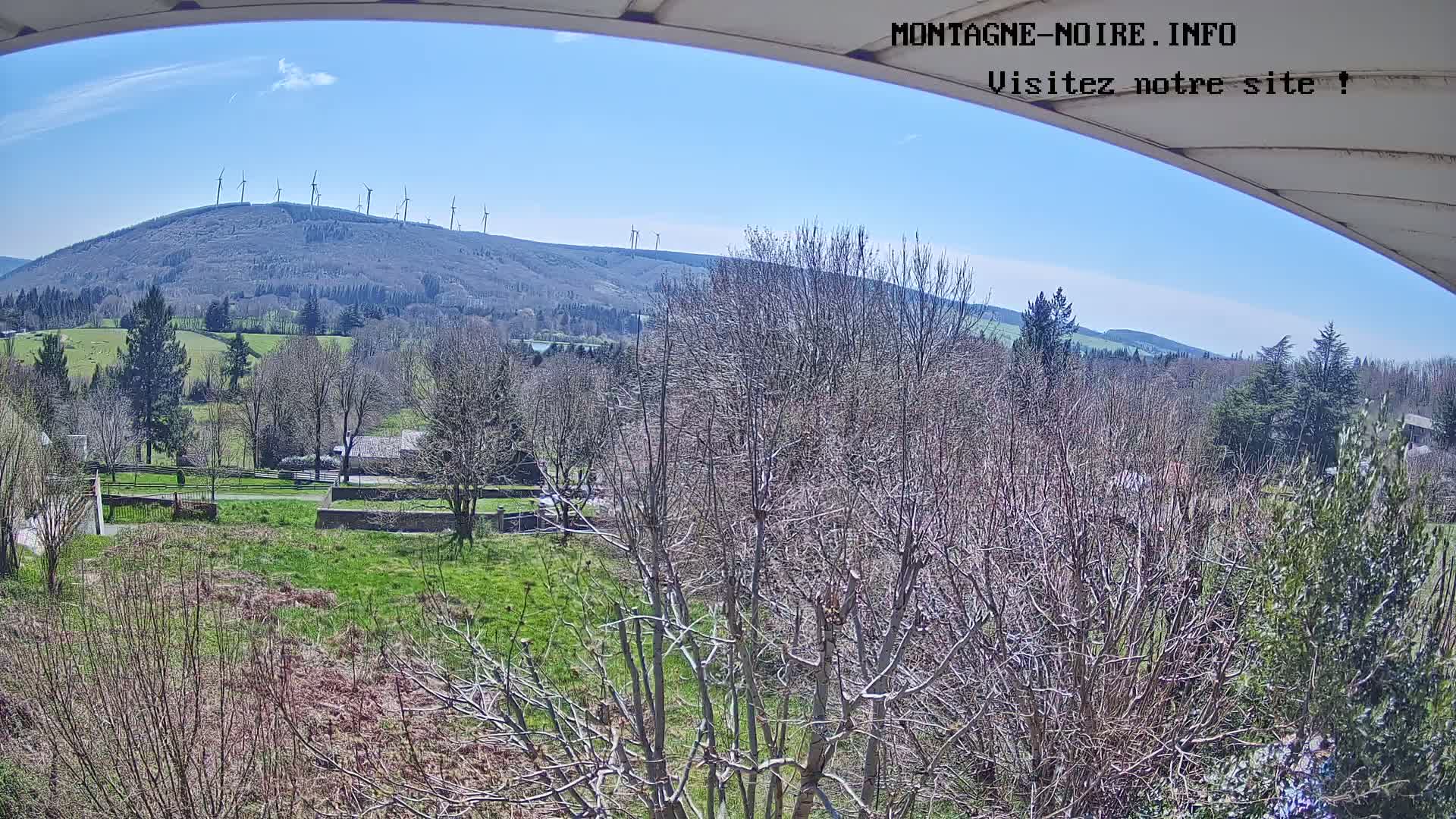 A sunny view of a hilly landscape dotted with wind turbines, featuring bare trees in the foreground and green pastures in the mid-ground.