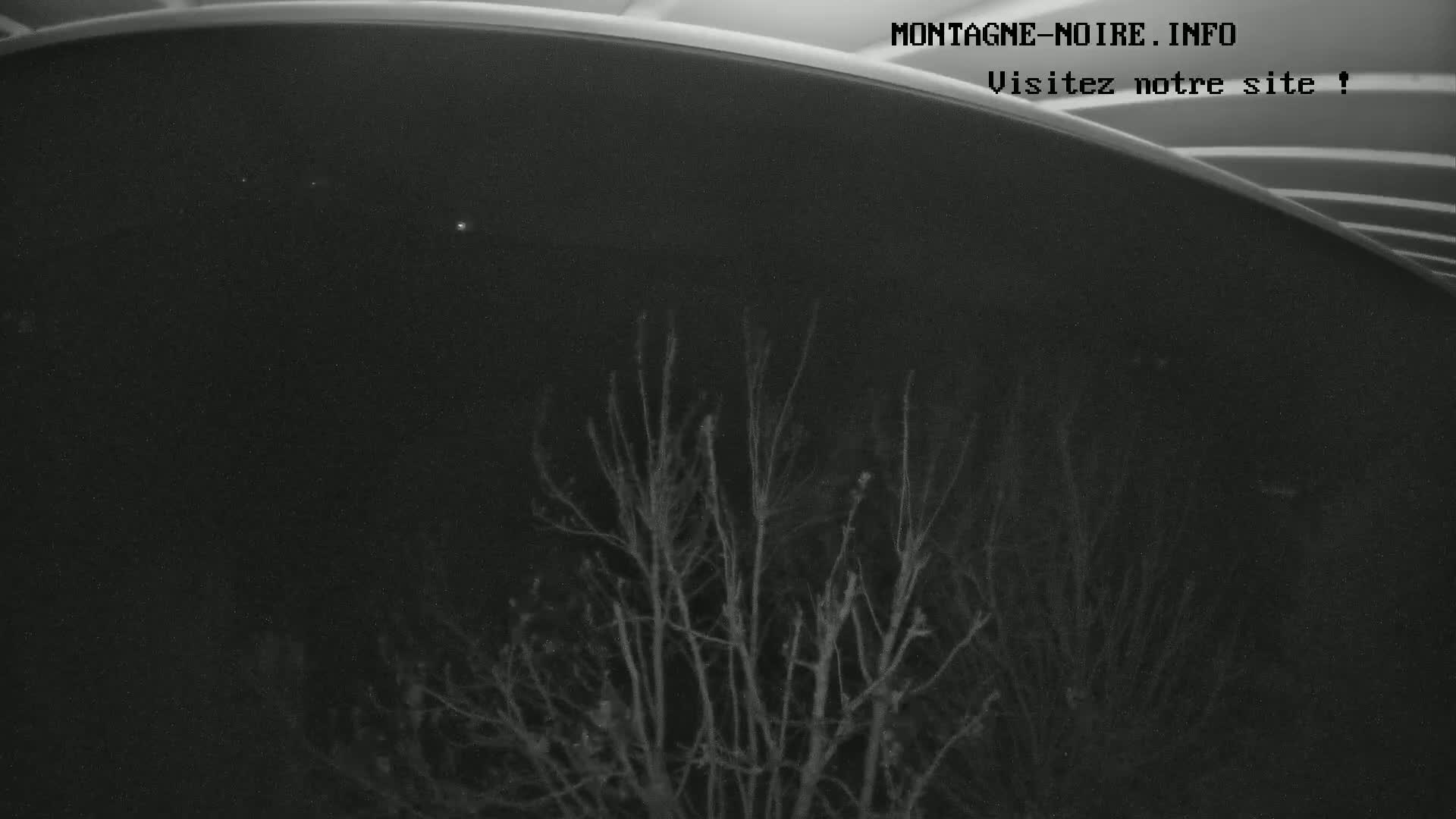 Bare, dark trees are visible against a night sky.