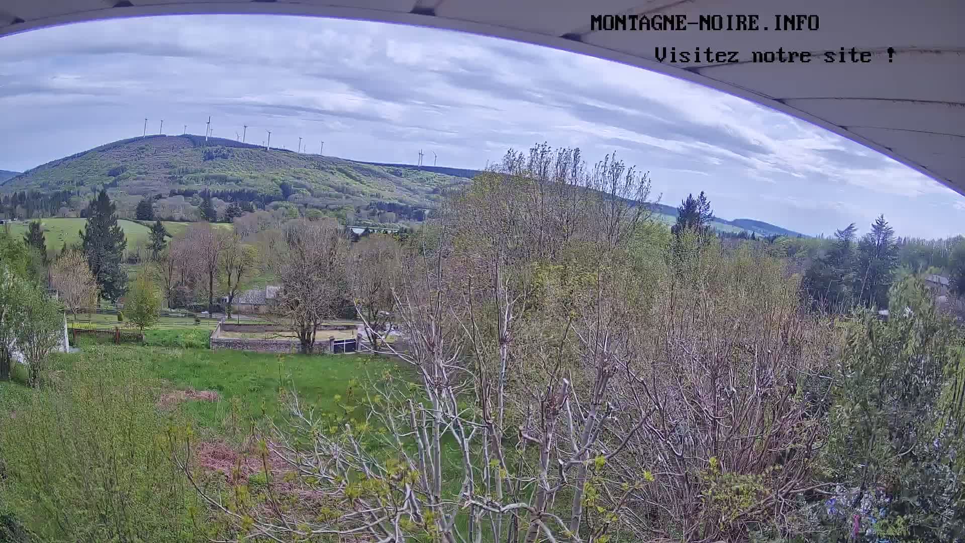 A view of a green valley with budding trees and a distant hill topped with wind turbines under a partly cloudy sky.