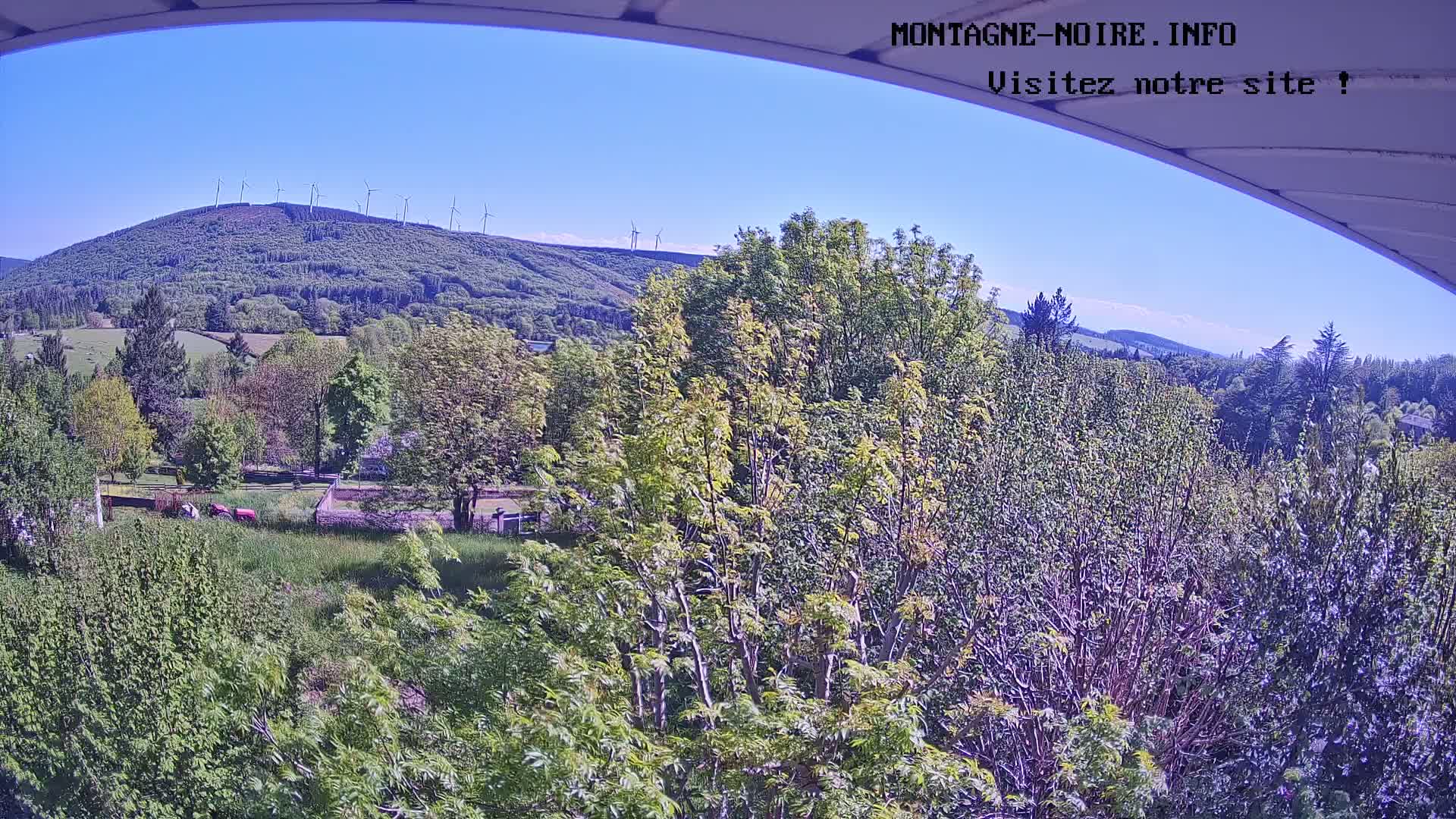 A sunny view from an elevated vantage point shows a lush green landscape dotted with trees, a distant hill topped with wind turbines, and a clear blue sky.