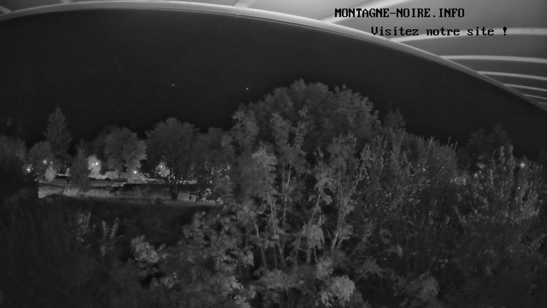 A nighttime view from under a bridge shows a line of trees and shrubs illuminated by faint lights.