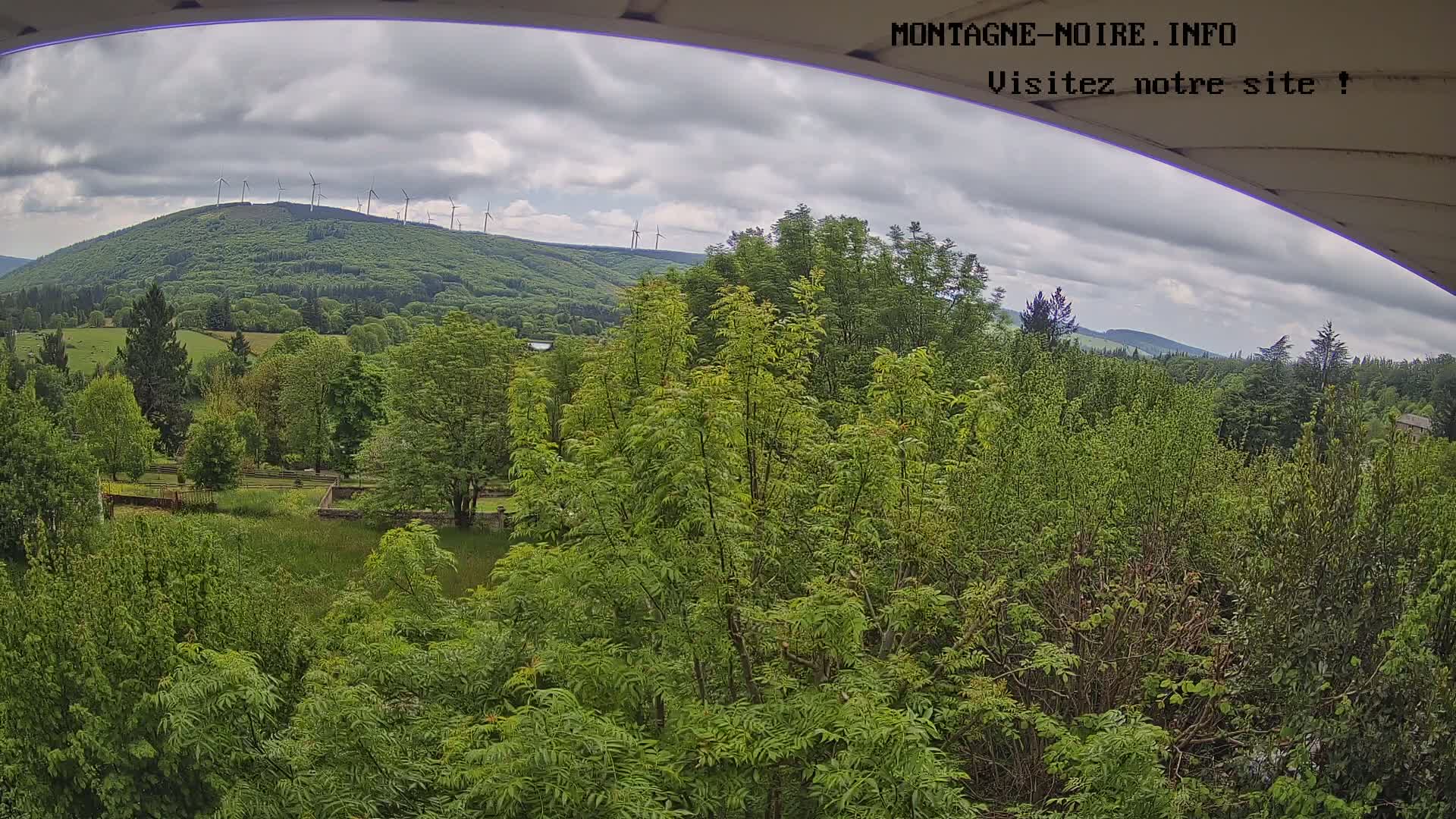 A view of lush green trees and a hill topped with wind turbines under a cloudy sky.