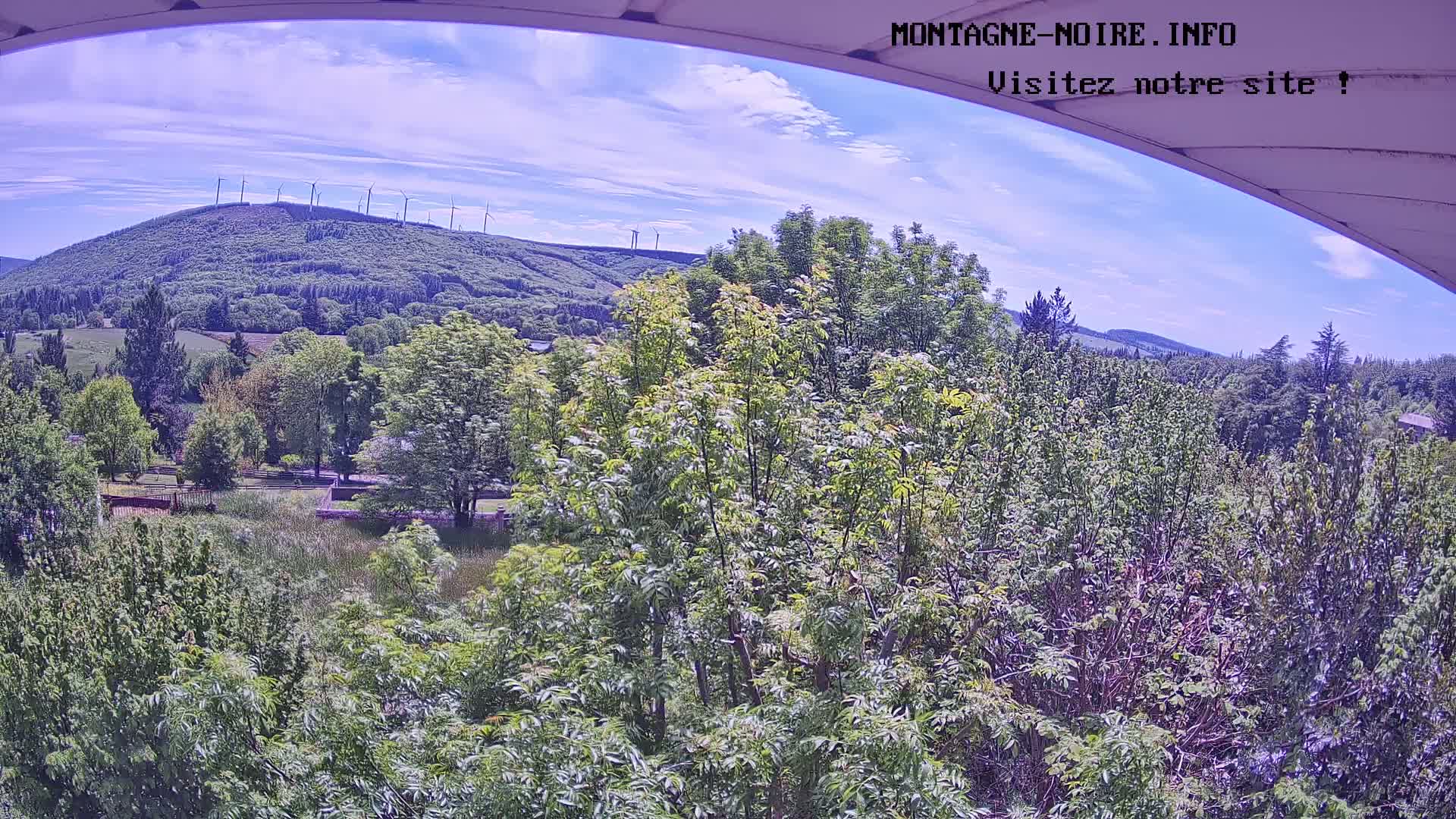 A view from an elevated position shows a mostly sunny day with a lush green landscape, including a hill topped with wind turbines and a variety of trees and shrubs in the foreground.