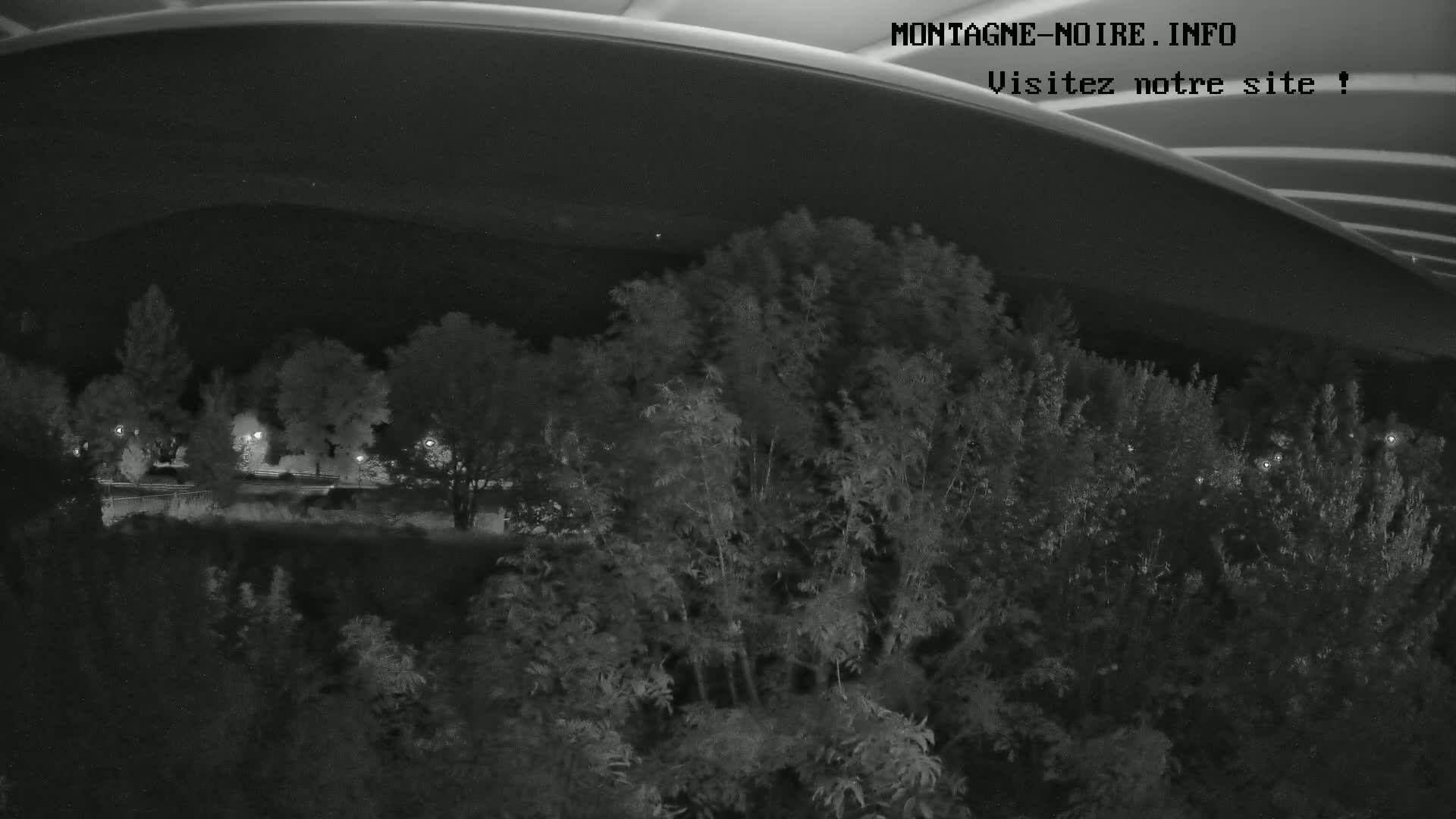 Under a dark night sky, a nighttime view shows dense foliage beneath a curved structure, with a road and lights faintly visible in the distance.