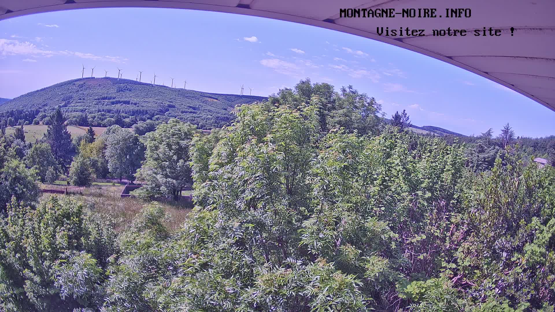 A mostly sunny view from an elevated position shows a lush green landscape with a forested hill in the distance, topped with a line of wind turbines.