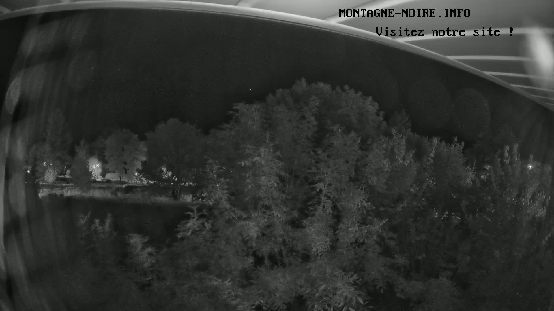 A nighttime, low-light view shows a line of trees and bushes in the foreground, with dimly lit buildings and trees visible in the background.