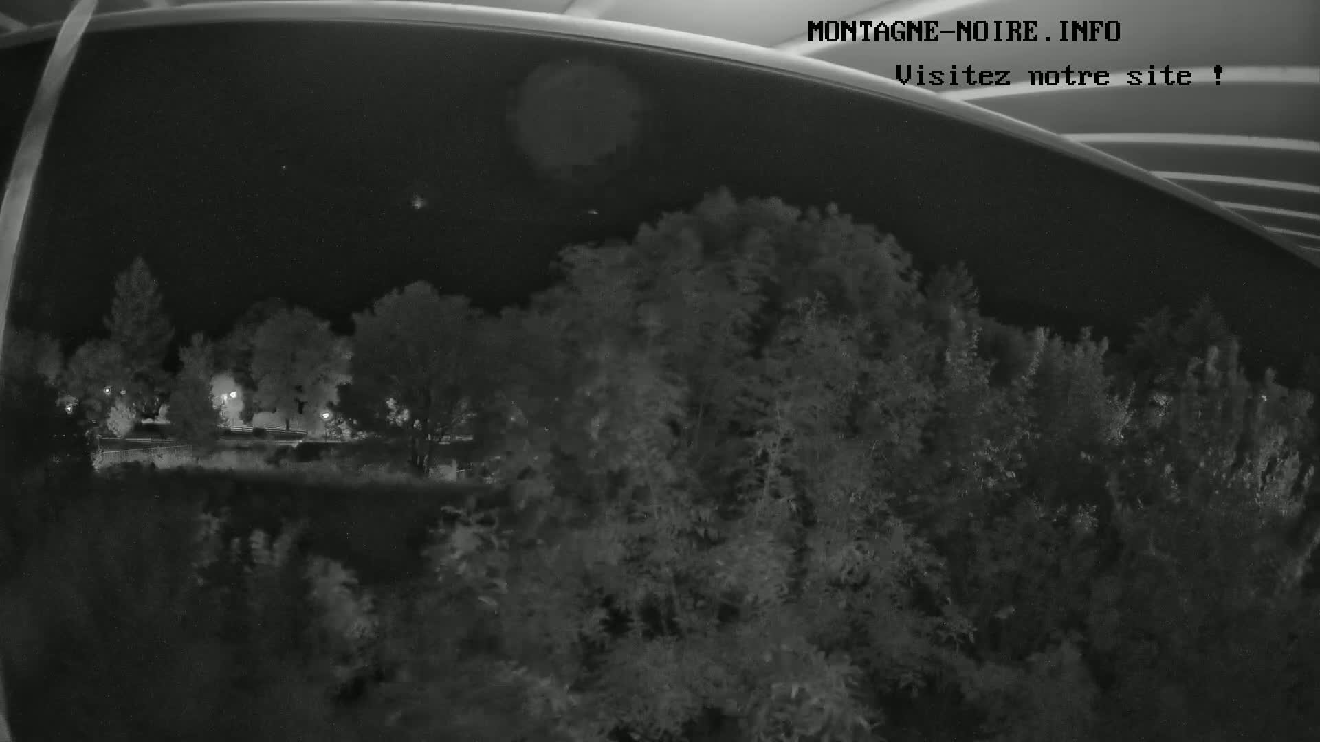 A nighttime, low-light view of trees and a road, seen through a curved window.