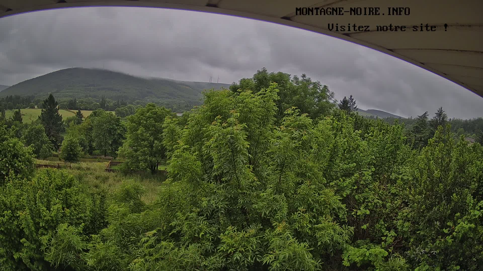 A lush green landscape with a distant, fog-covered mountain under an overcast sky.