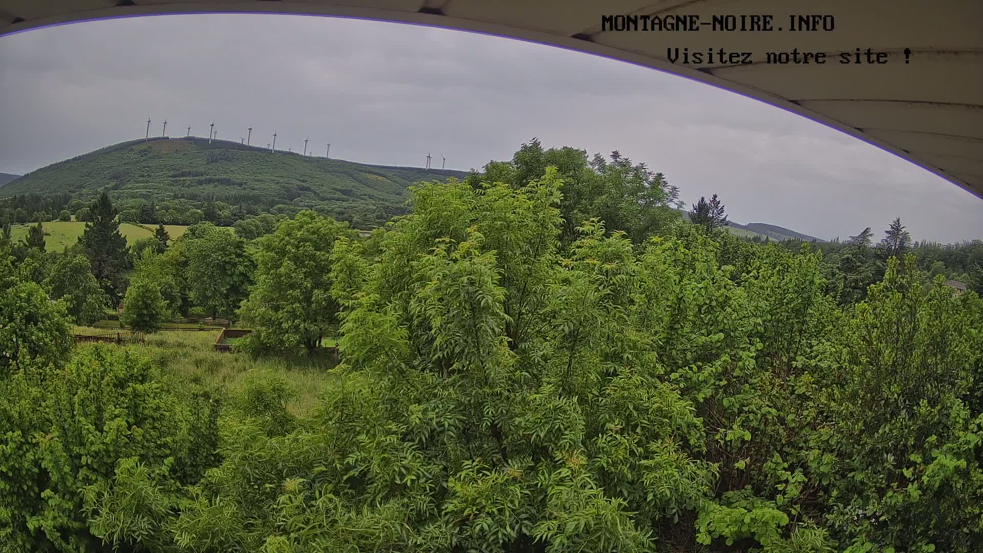 A view from an elevated vantage point shows a lush green landscape under an overcast sky, with wind turbines visible on a distant hill.