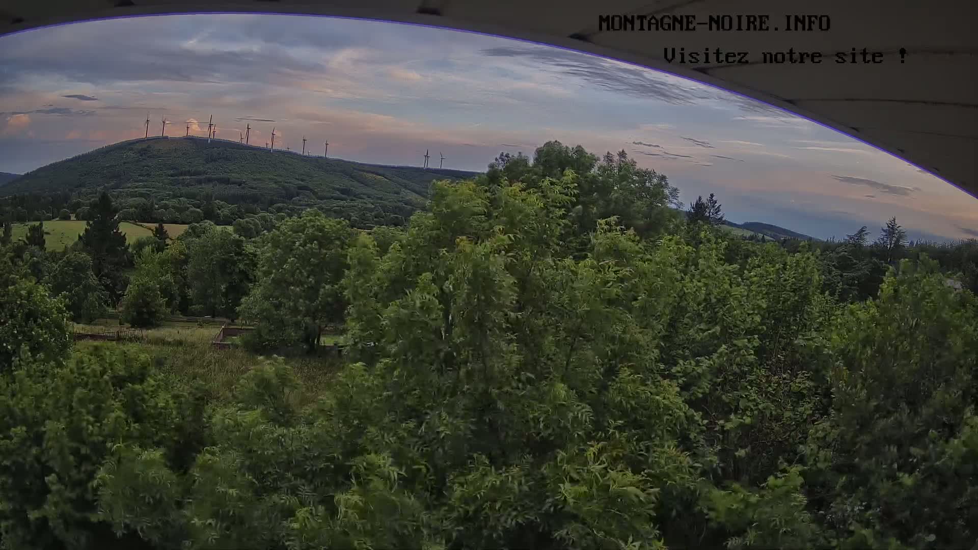 A lush green landscape with a hilltop wind farm visible in the distance under a partly cloudy twilight sky.