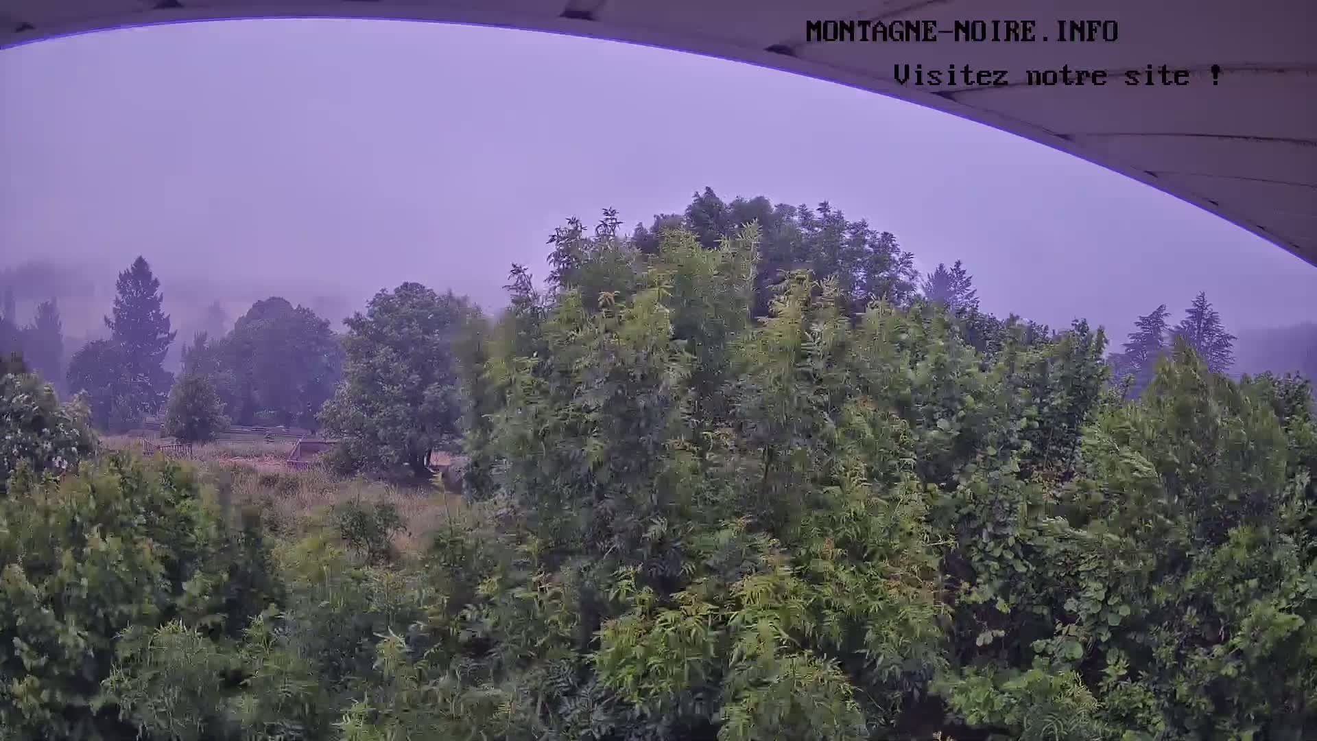 A hazy, purplish sky hangs over a lush green landscape of trees and shrubs, viewed from under a curved structure.