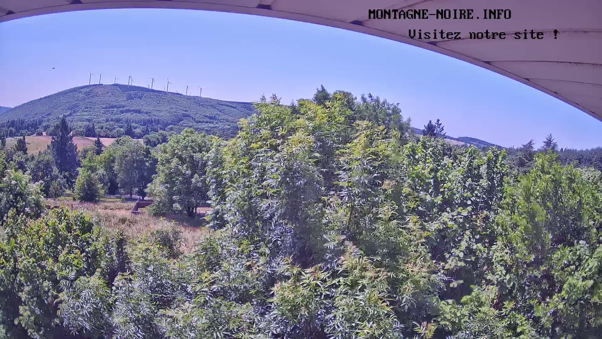 A view of lush green trees and a distant hill with wind turbines under a clear blue sky.