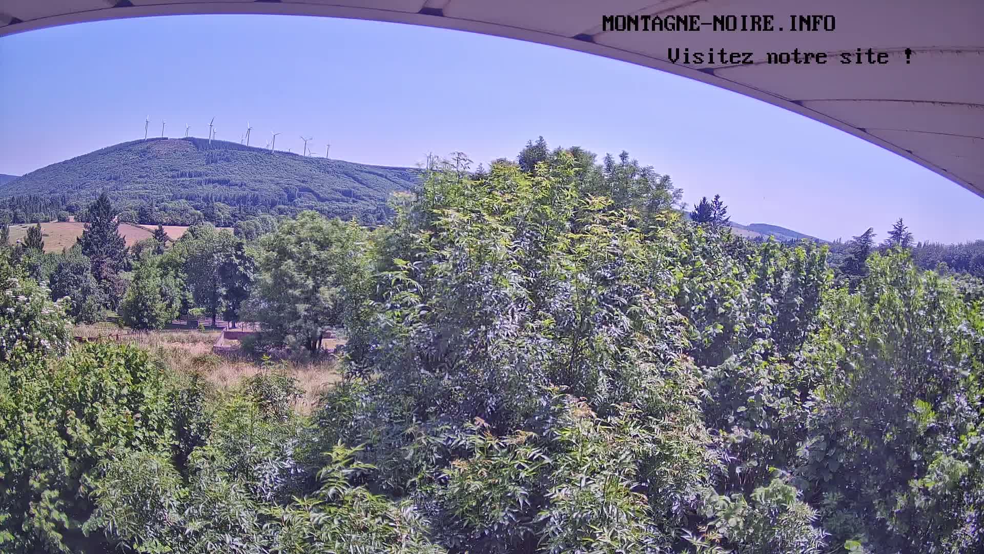 A lush green landscape with a distant hill featuring wind turbines under a clear blue sky.