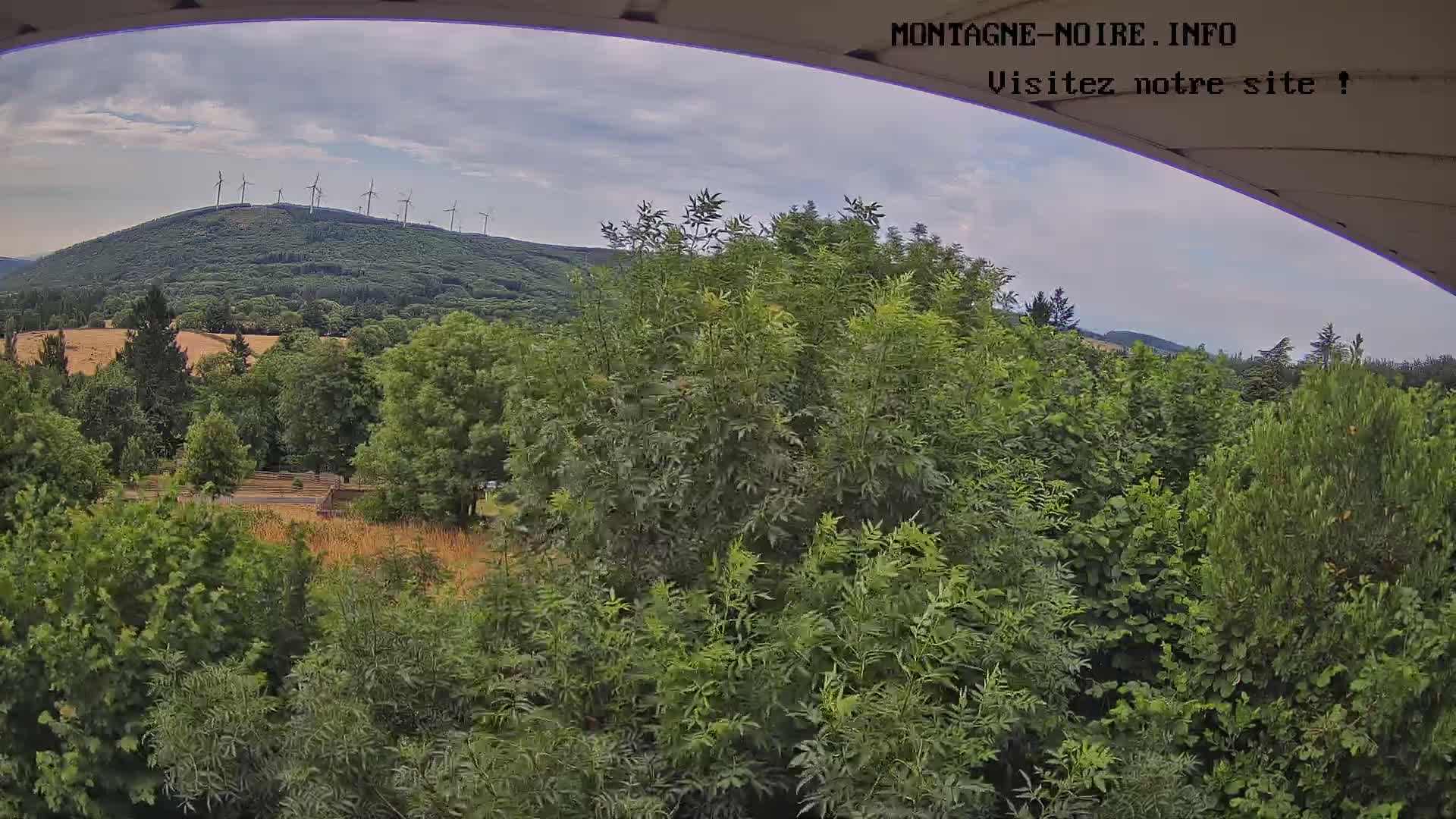 A partly cloudy sky overlooks a lush green landscape dotted with trees and shrubs, featuring a distant hill topped with wind turbines.