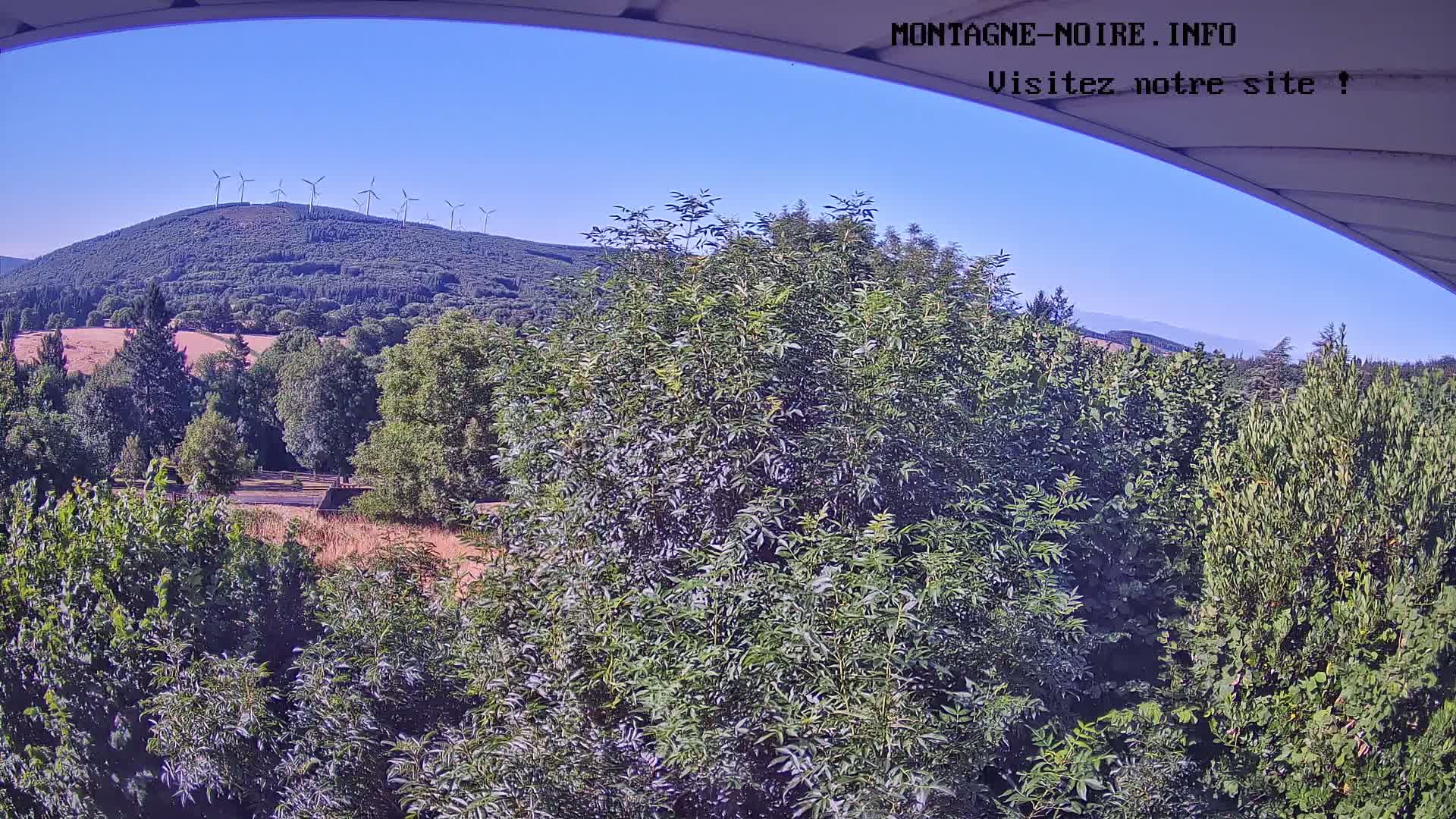 A clear, sunny day reveals a lush green landscape with a distant hill topped by wind turbines, viewed from behind a leafy canopy.