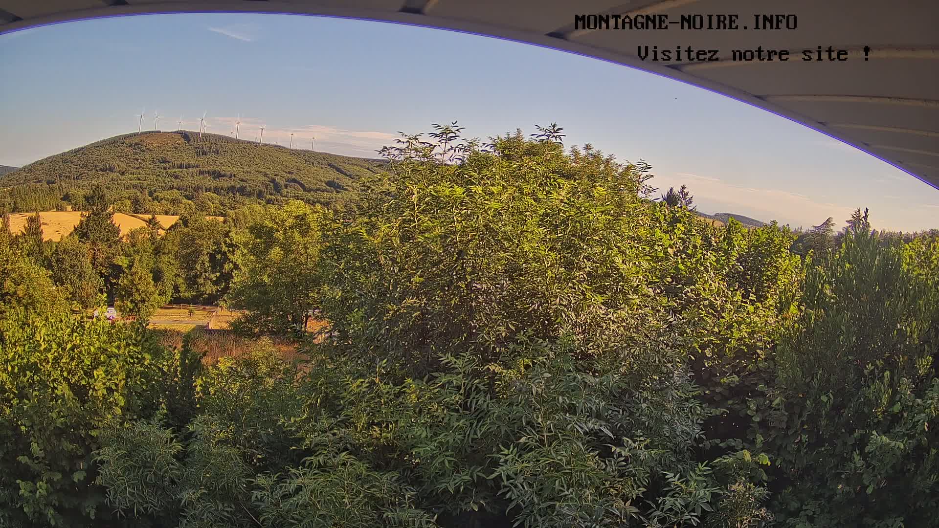 A clear, sunny day reveals a lush green landscape with a distant hill topped by wind turbines, viewed from behind a leafy canopy.