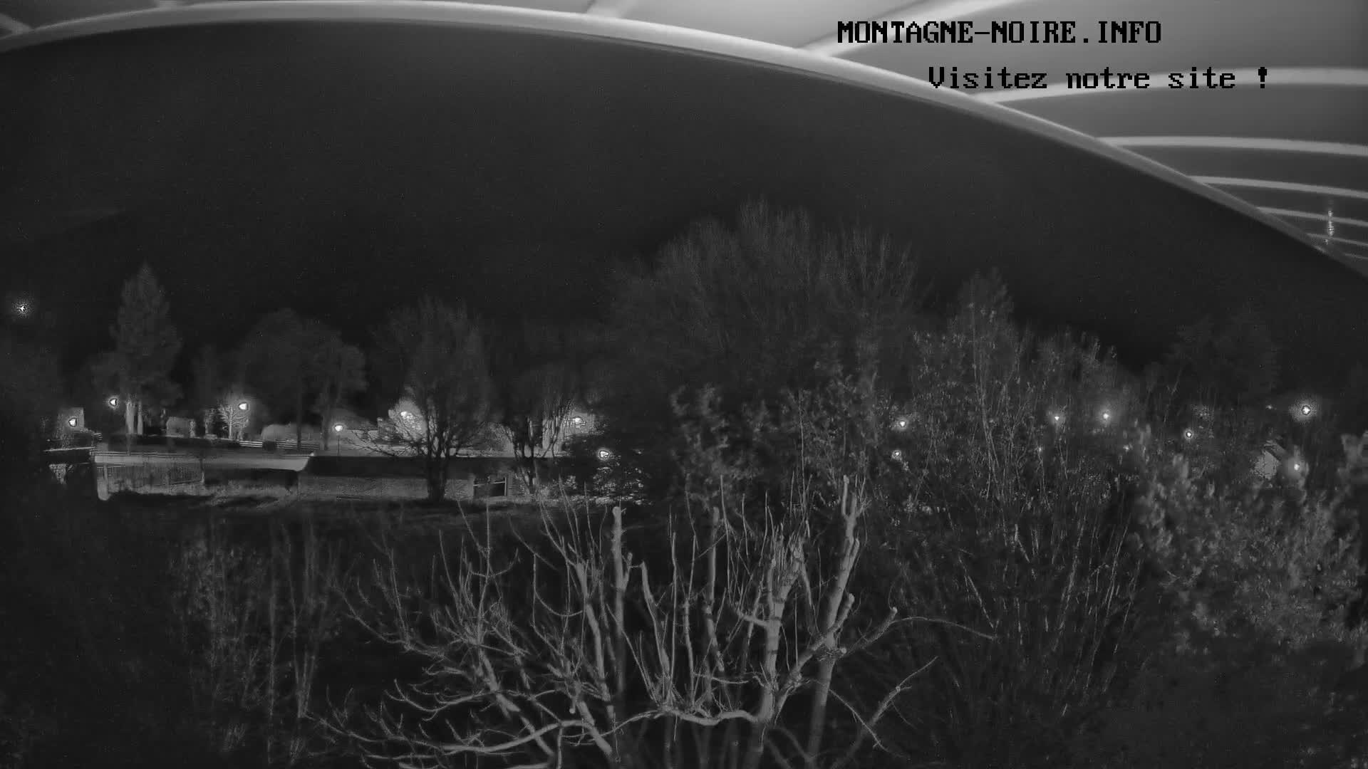 A grainy, black and white night landscape features numerous trees and bushes, illuminated by scattered streetlights that reflect on a body of water in the midground, all set against a distant, dark mountainous horizon under a clear sky.