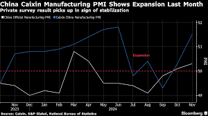 China Factory Activity Unexpectedly Expands in June: Private Survey