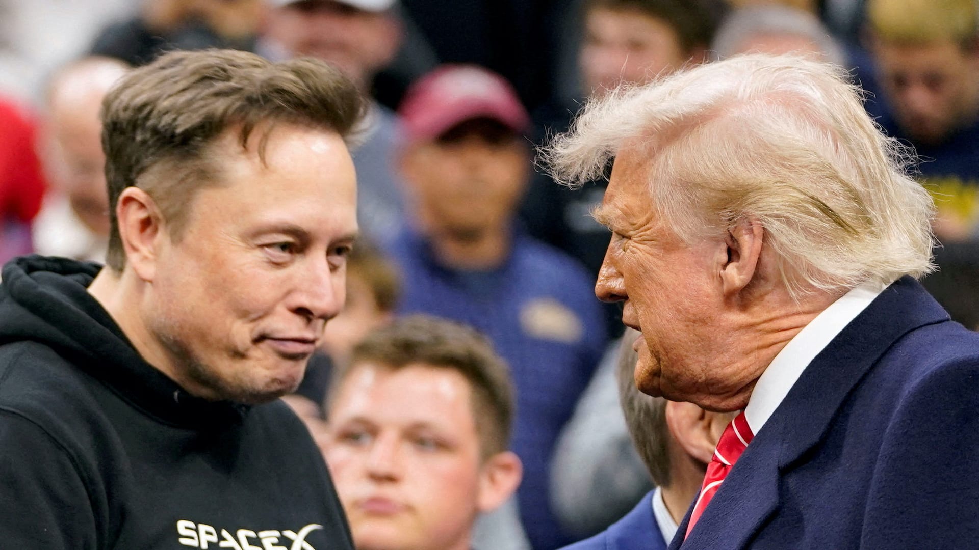 Tesla Stock Plummets Amid Trump-Musk Feud: What's Next for TSLA?