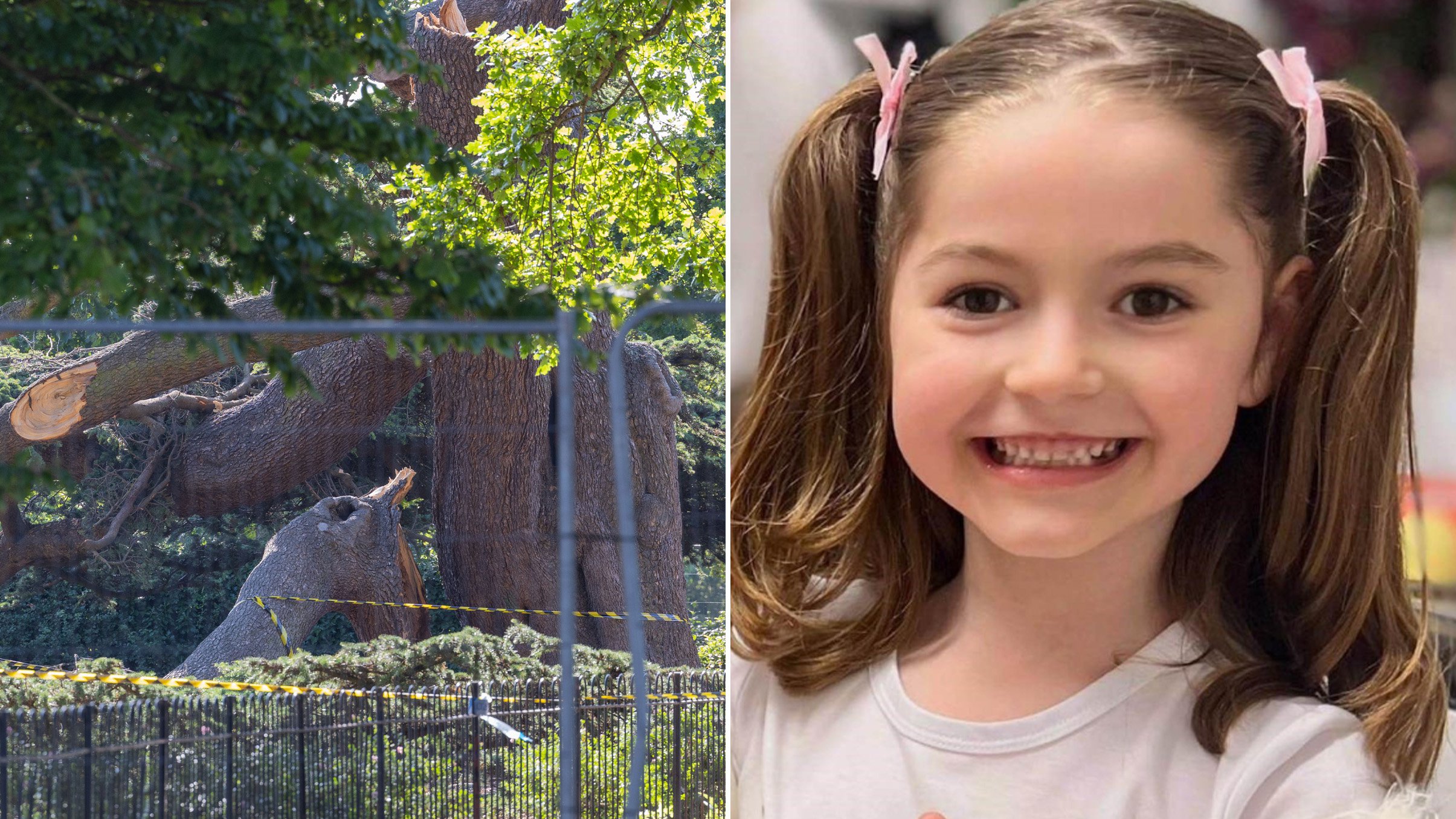 Tragic Accident: 7-Year-Old Girl Dies After Tree Fall in Southend Park