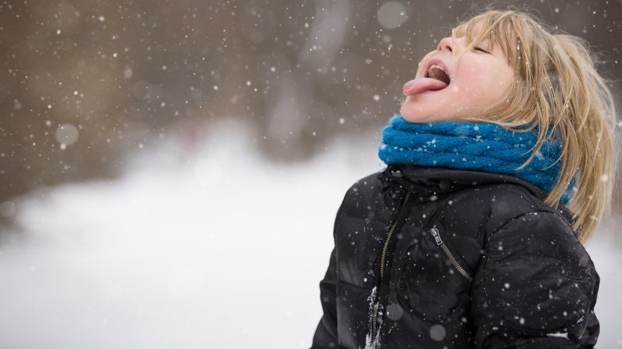 Chicago Records Snowiest November Day Ever on Saturday, Forecasters Confirm Historic Snowfall