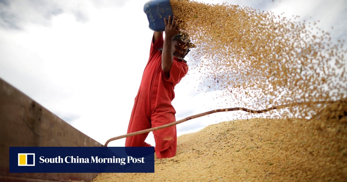 China Halts Brazilian Soy Amid Contamination; Asia's Top Weekend Stories: Japan Boycott Evolution & Hong Kong Fire Heroes