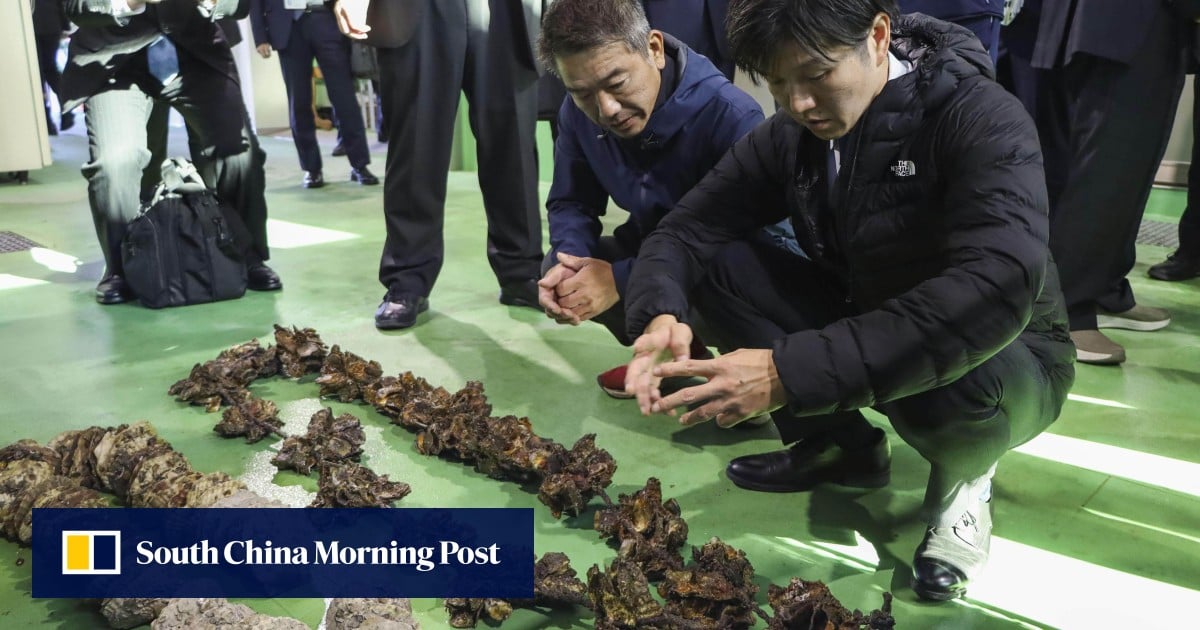 Japan's Oyster Farmers Face Ruin: Climate Change & Warming Seas Decimate 90% of Harvest in Seto Inland Sea