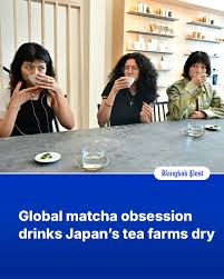 Matcha Mania: Global Demand Dries Up Japanese Tea Farms