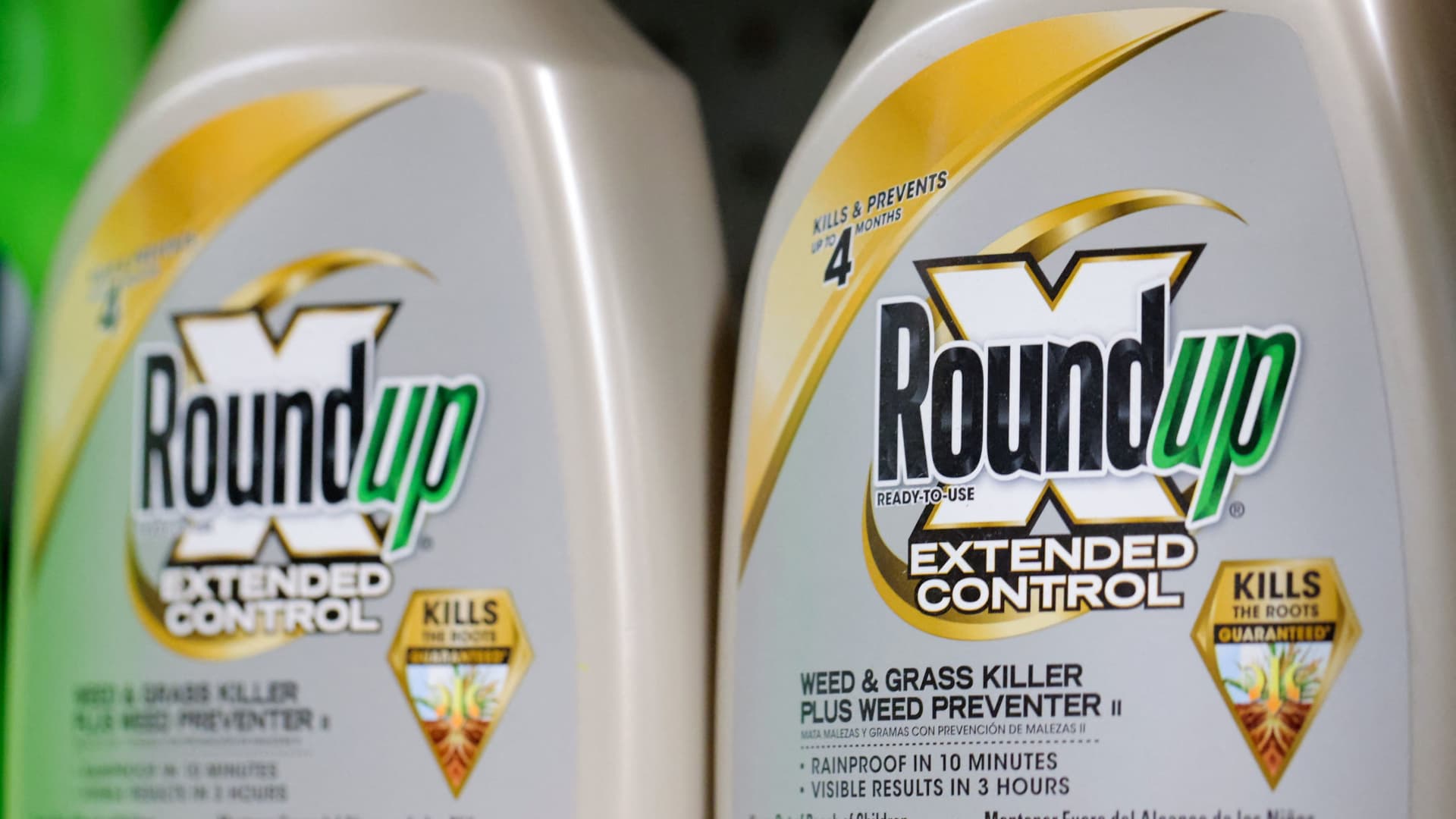 Bayer Shares Soar 12% as Trump Administration Backs Roundup Lawsuit Limits; European Markets Gain