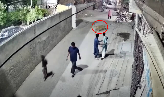 Escaped Pet Lion Attacks Woman and Children in Pakistan