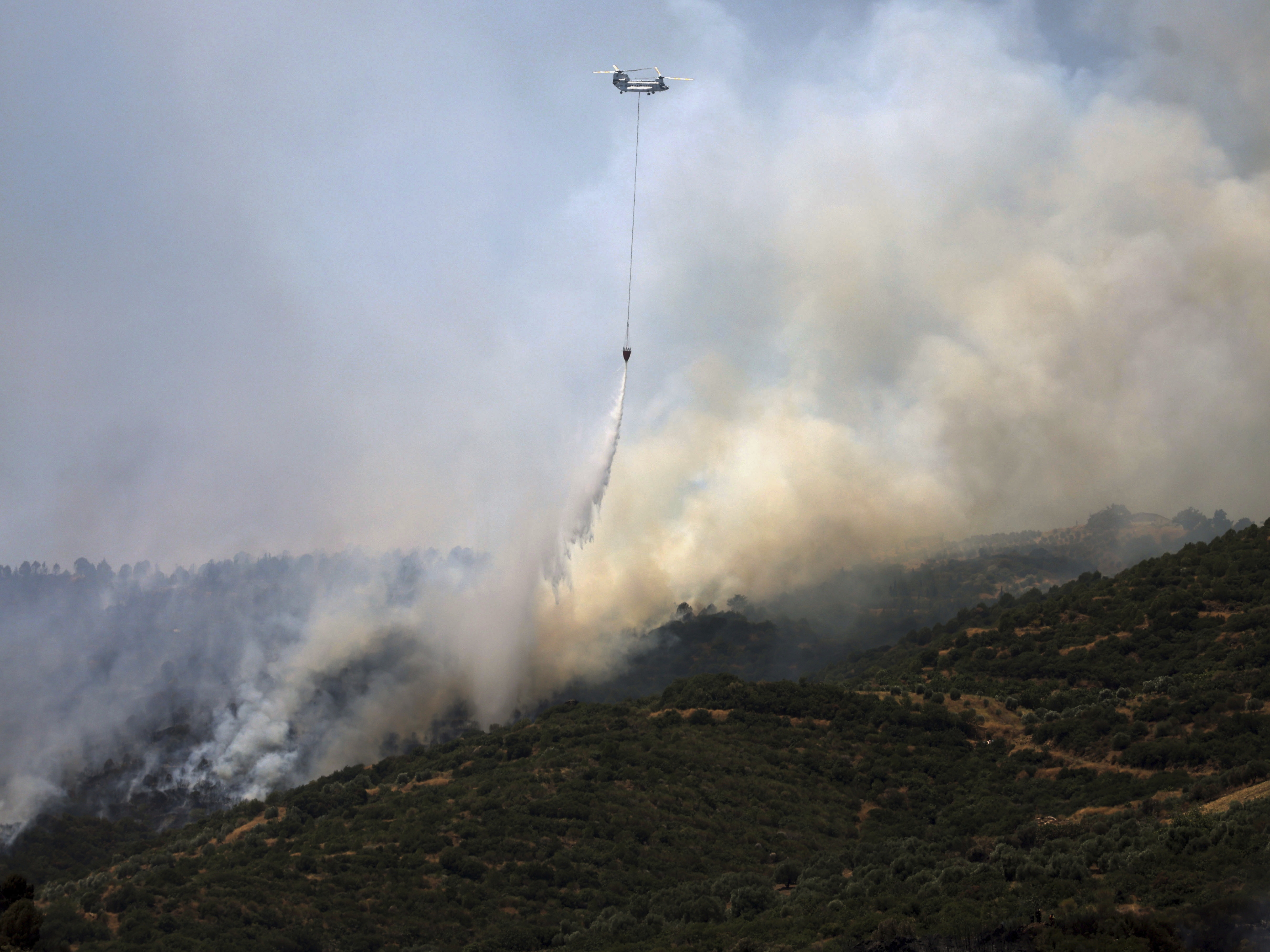 Greece Wildfire Forces Evacuations; Fires Rage in Turkey and Syria
