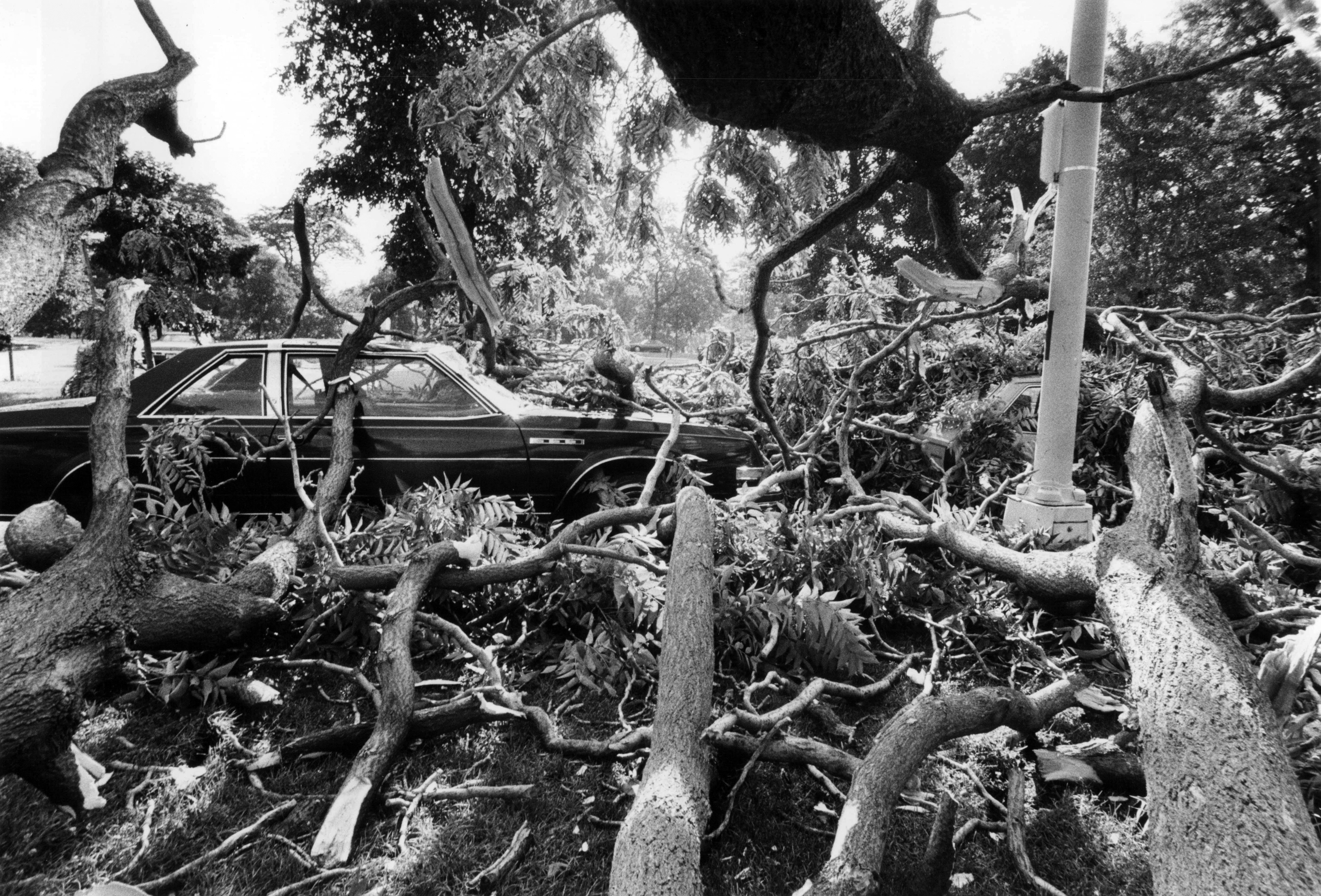 Chicago History: 82 mph Winds Knock Out Power to 100,000 Homes