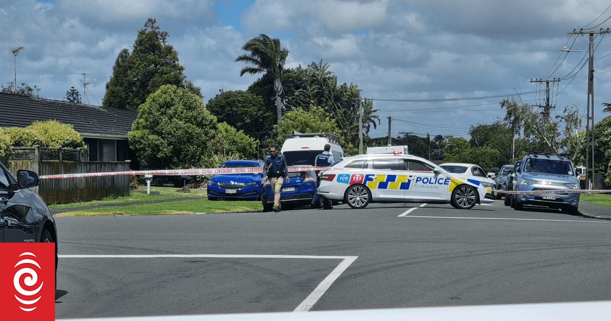 Fatal Stabbing in Mt Wellington, Auckland Triggers Homicide Probe; Suspect Vehicle Found