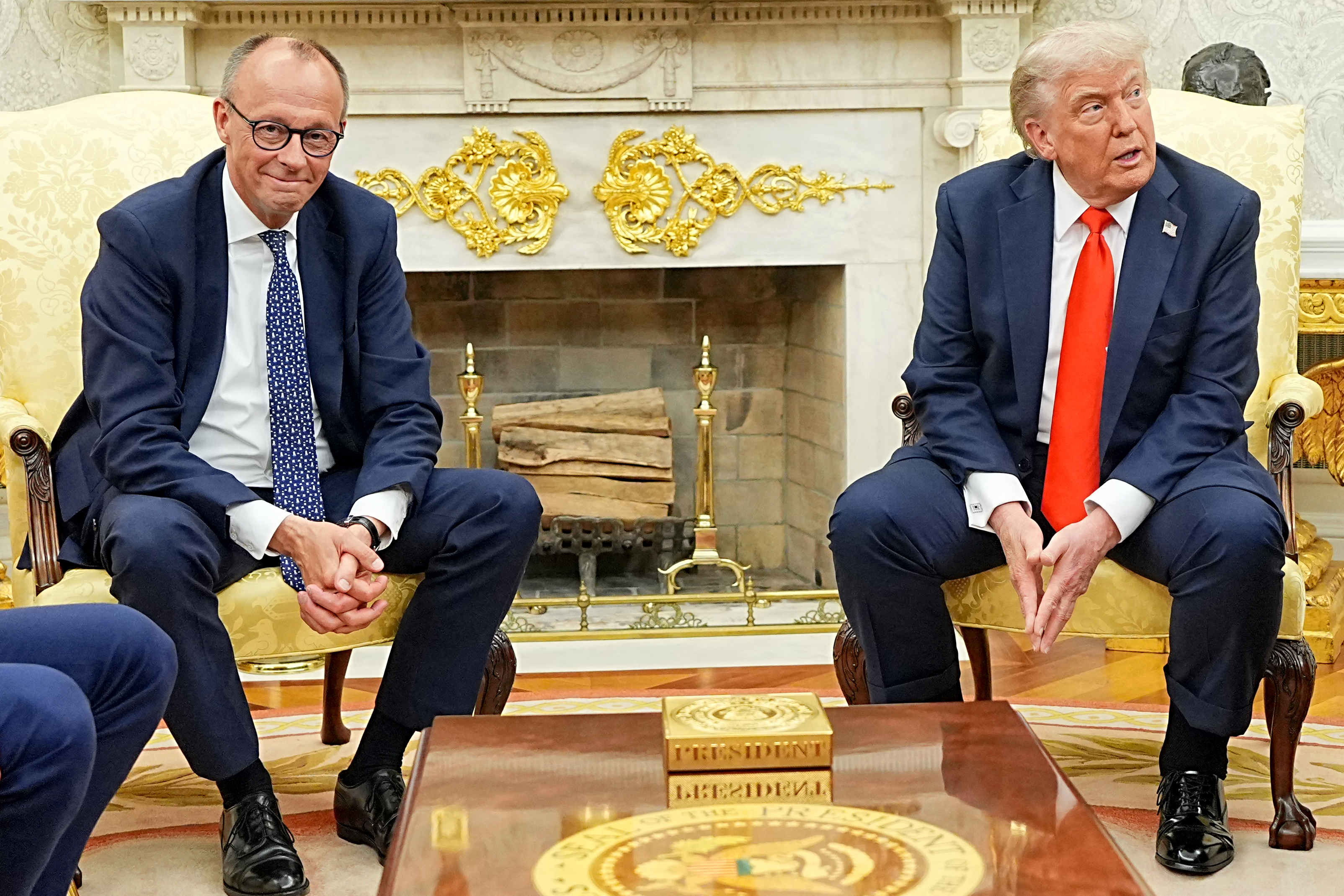 Berlin Relieved: Musk Faces White House Scrutiny, Not Merz