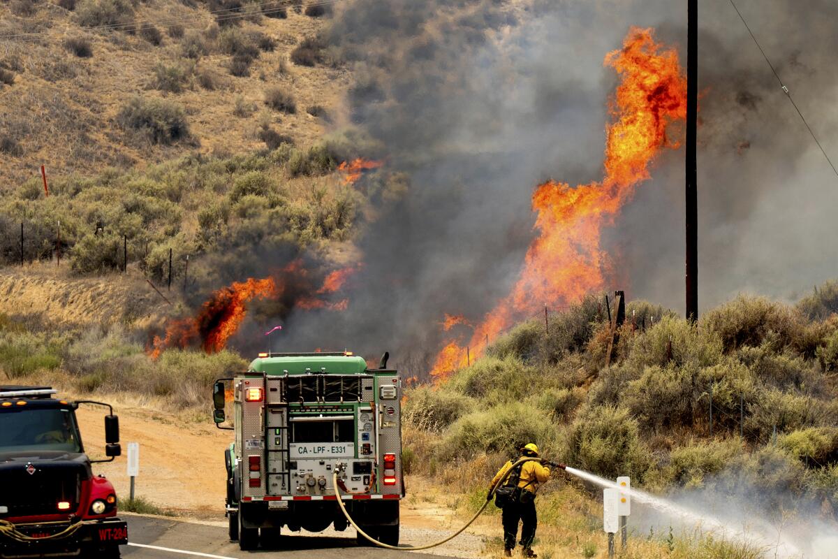 Madre Fire Roars Through San Luis Obispo County: Nearly 80,000 Acres Burned