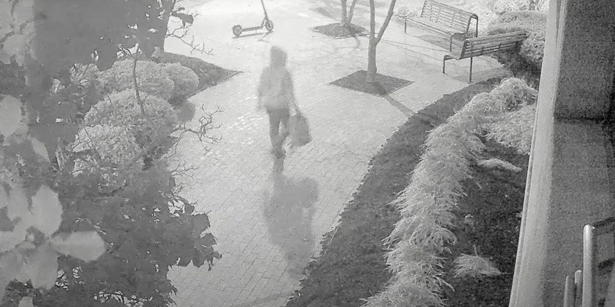 Brian Cole Jr., D.C. Pipe Bomb Suspect, Linked to Trump Support in Ongoing Investigation