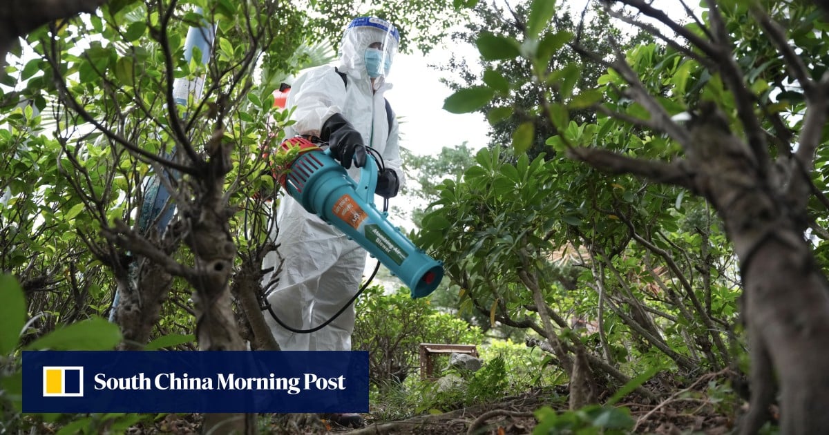Hong Kong Confirms 10th Local Chikungunya Case Amid Tsing Yi Hike Link; Health Officials Urge Caution